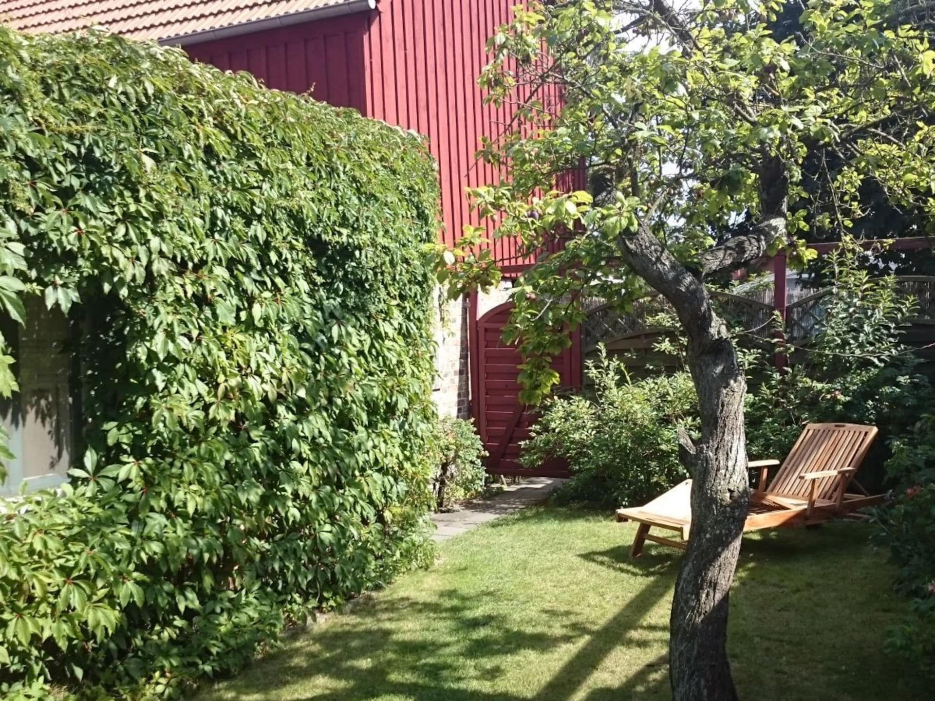 145684 - foto 4
