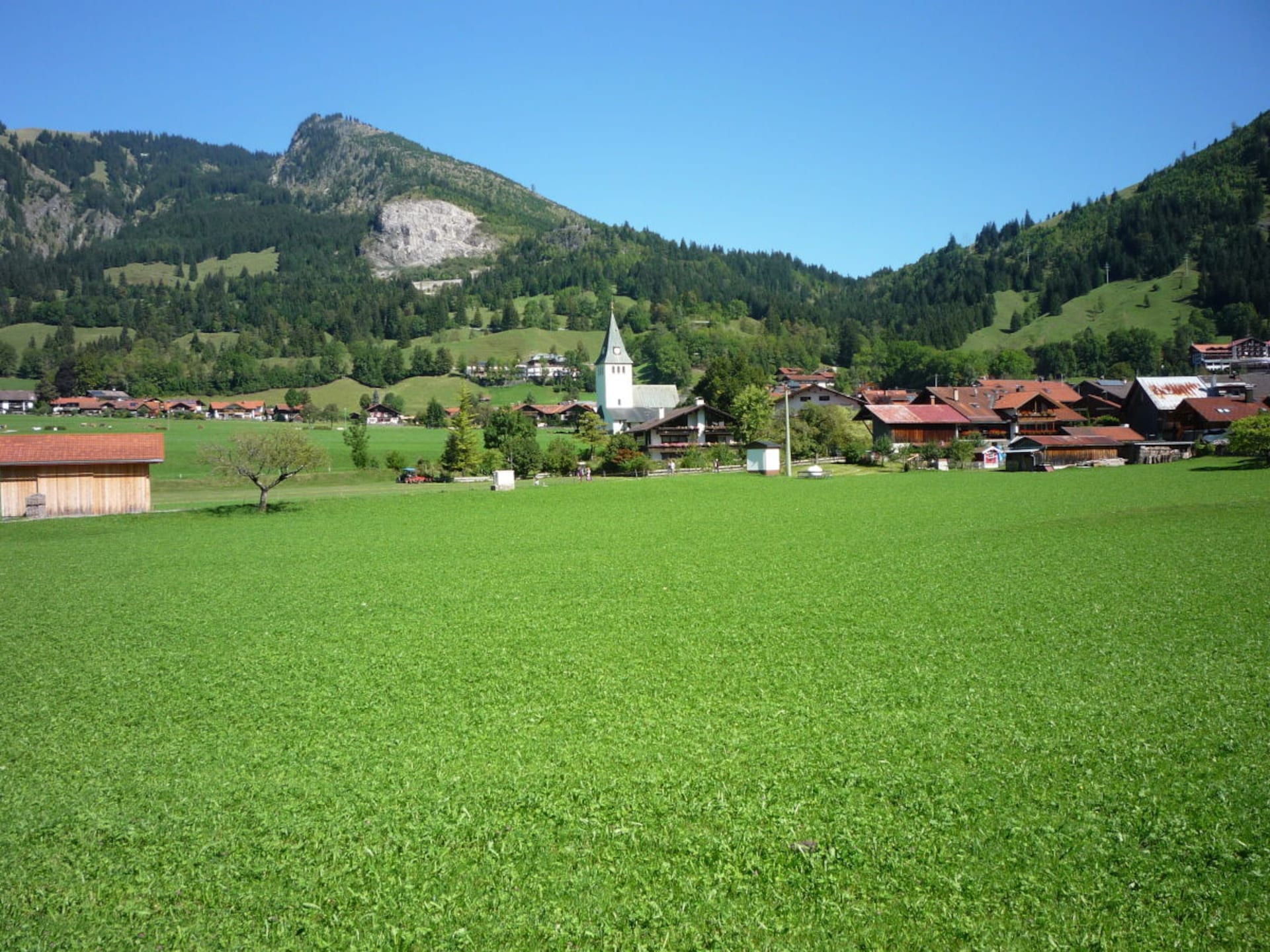 87479 - foto 17