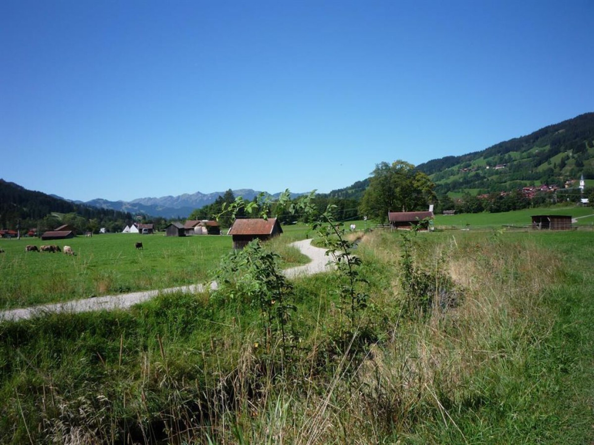 87479 - foto 18