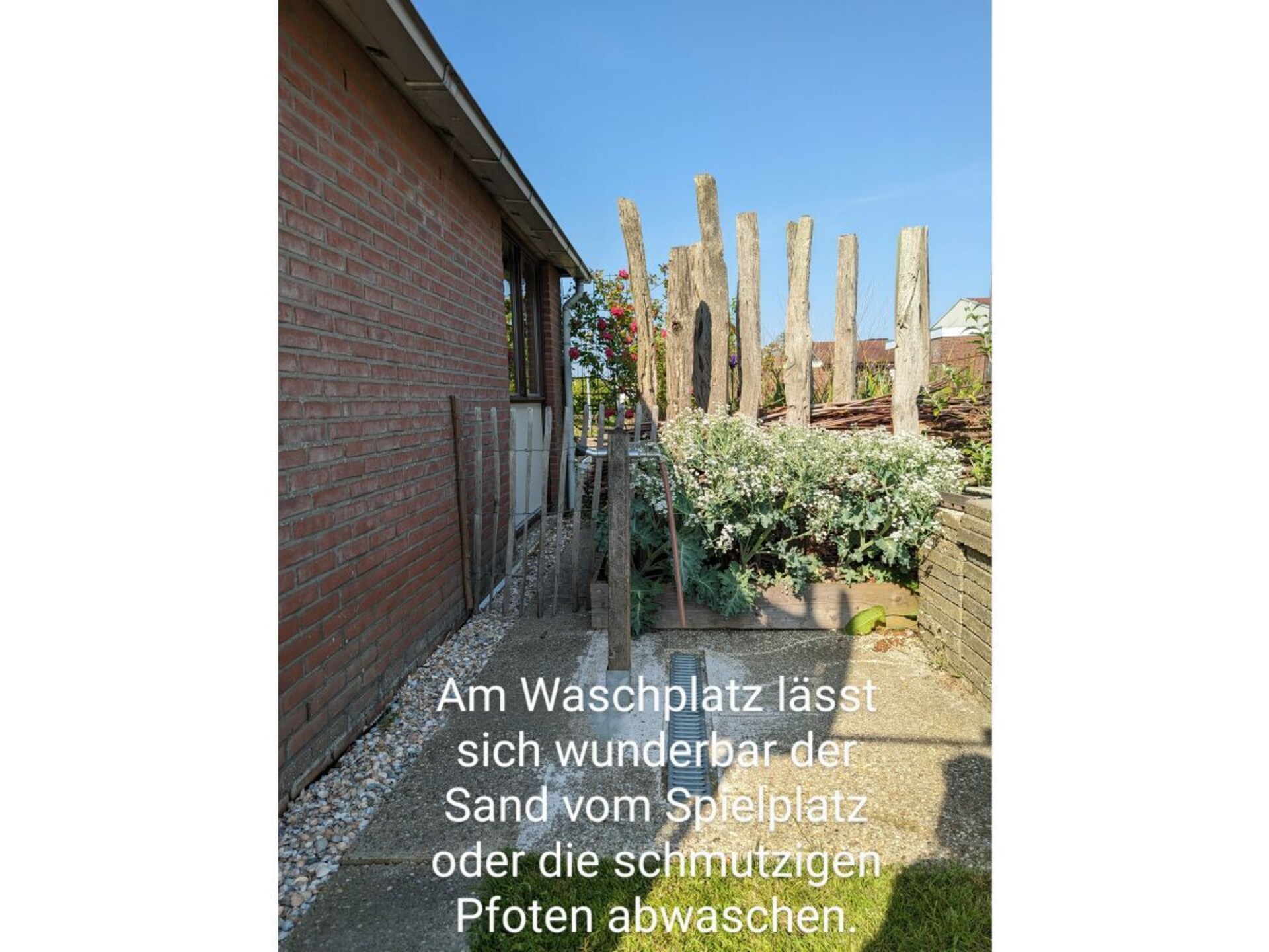 148411 - foto 6