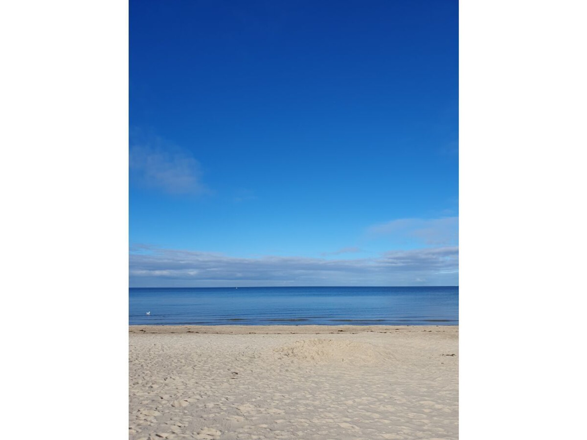 457339 - foto 35