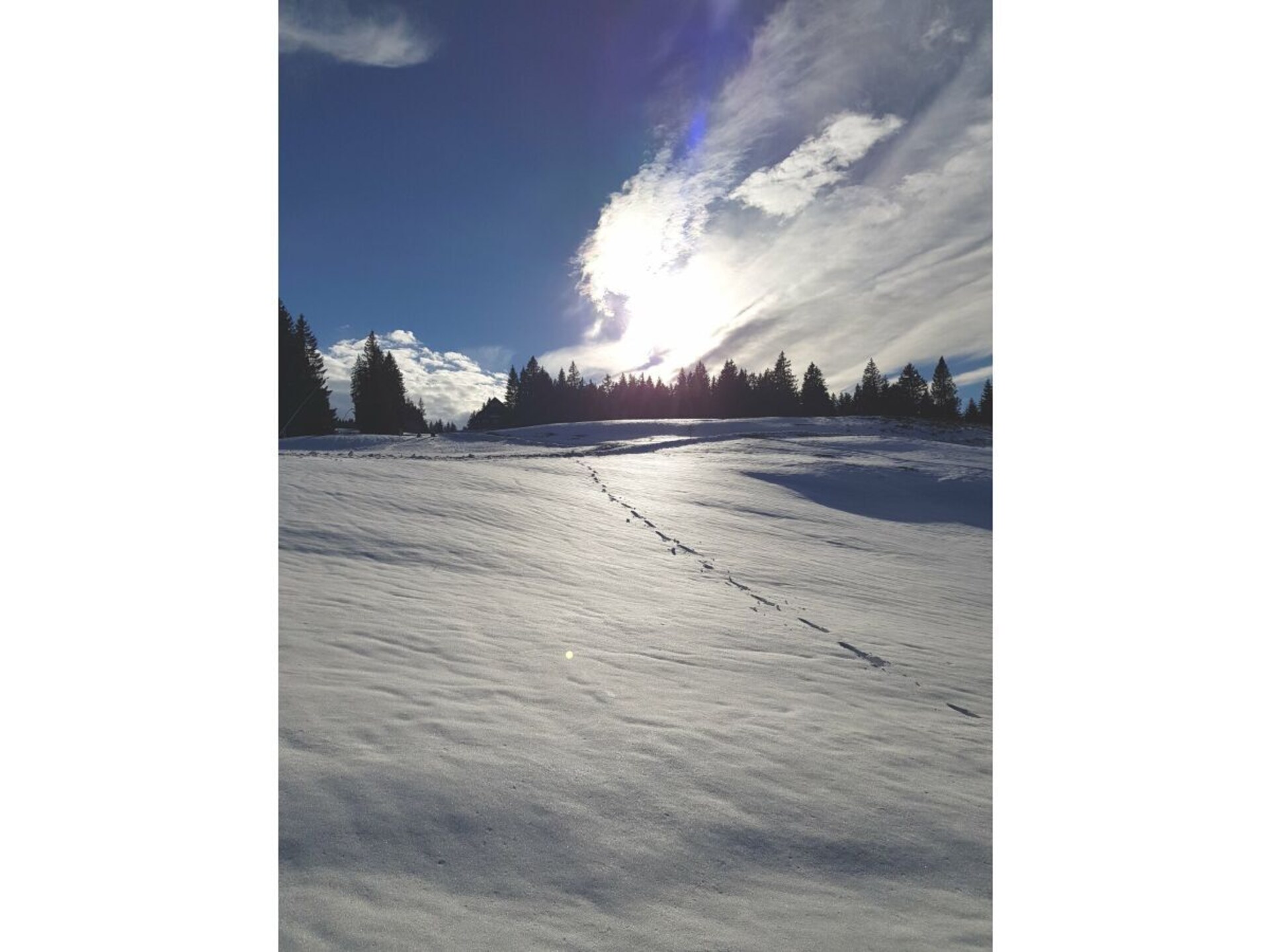242642 - foto 28