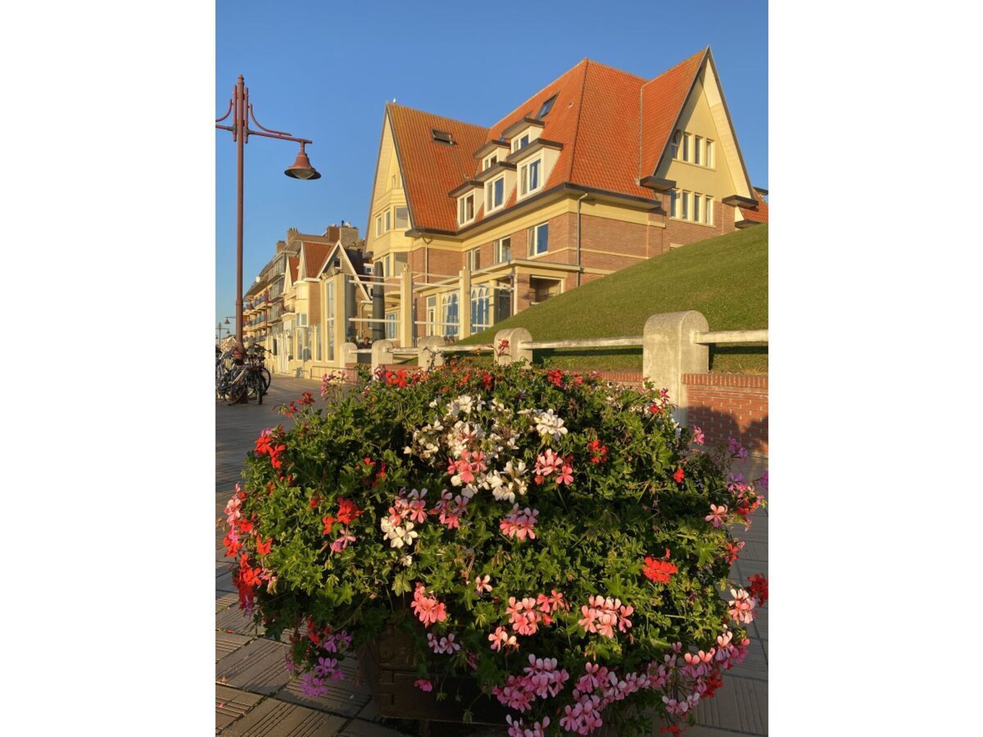 4-persoons vakantiehuis met omheinde tuin in De Haan - foto 11