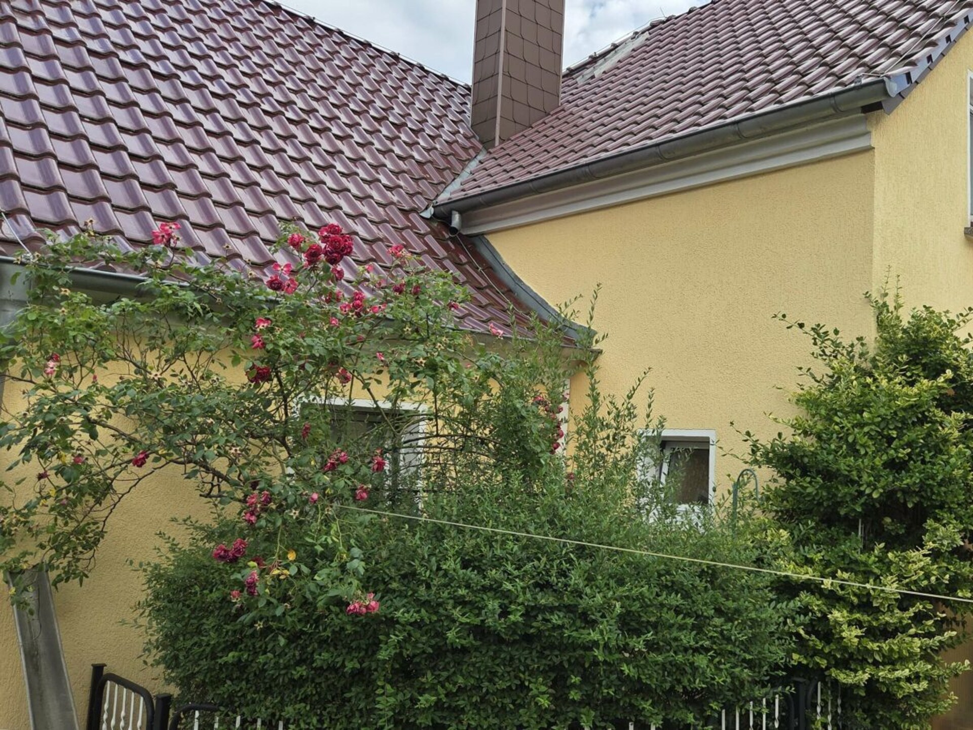 754921 - foto 2