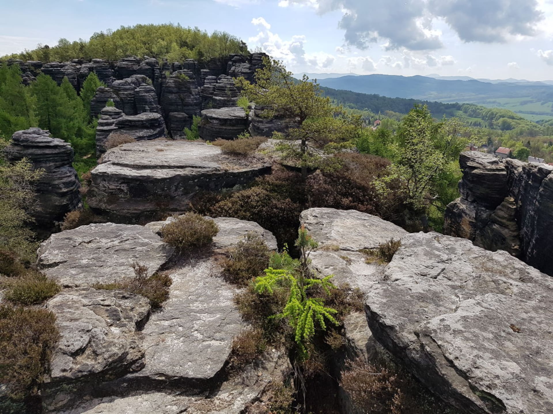273431 - foto 17