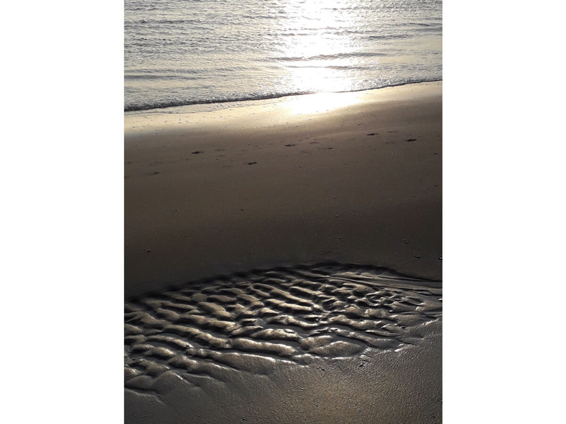 52018 - foto 39