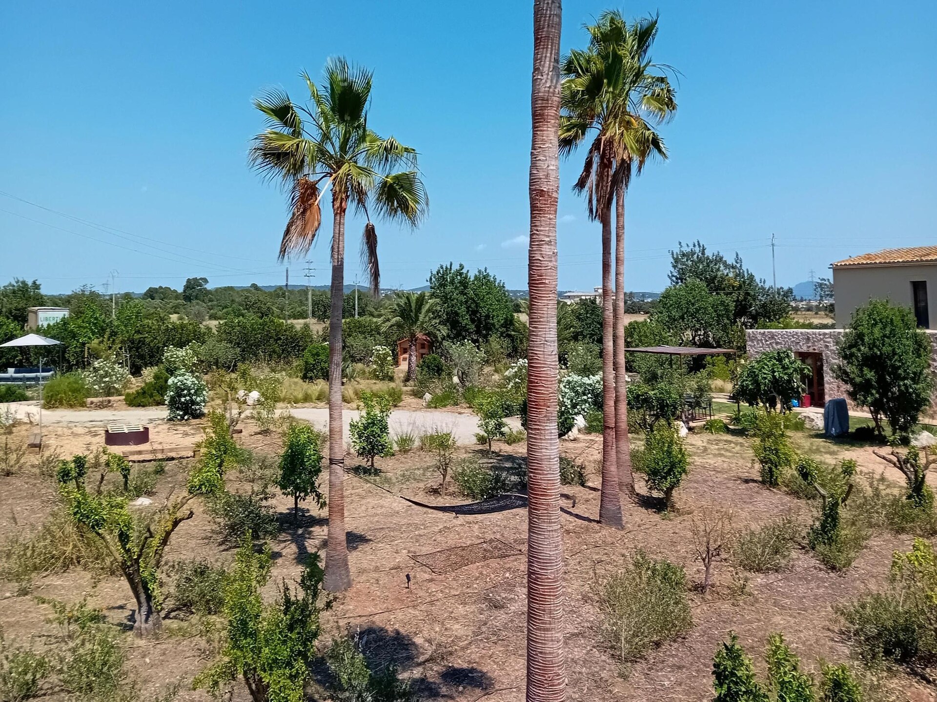 Hort des Padri - foto 22
