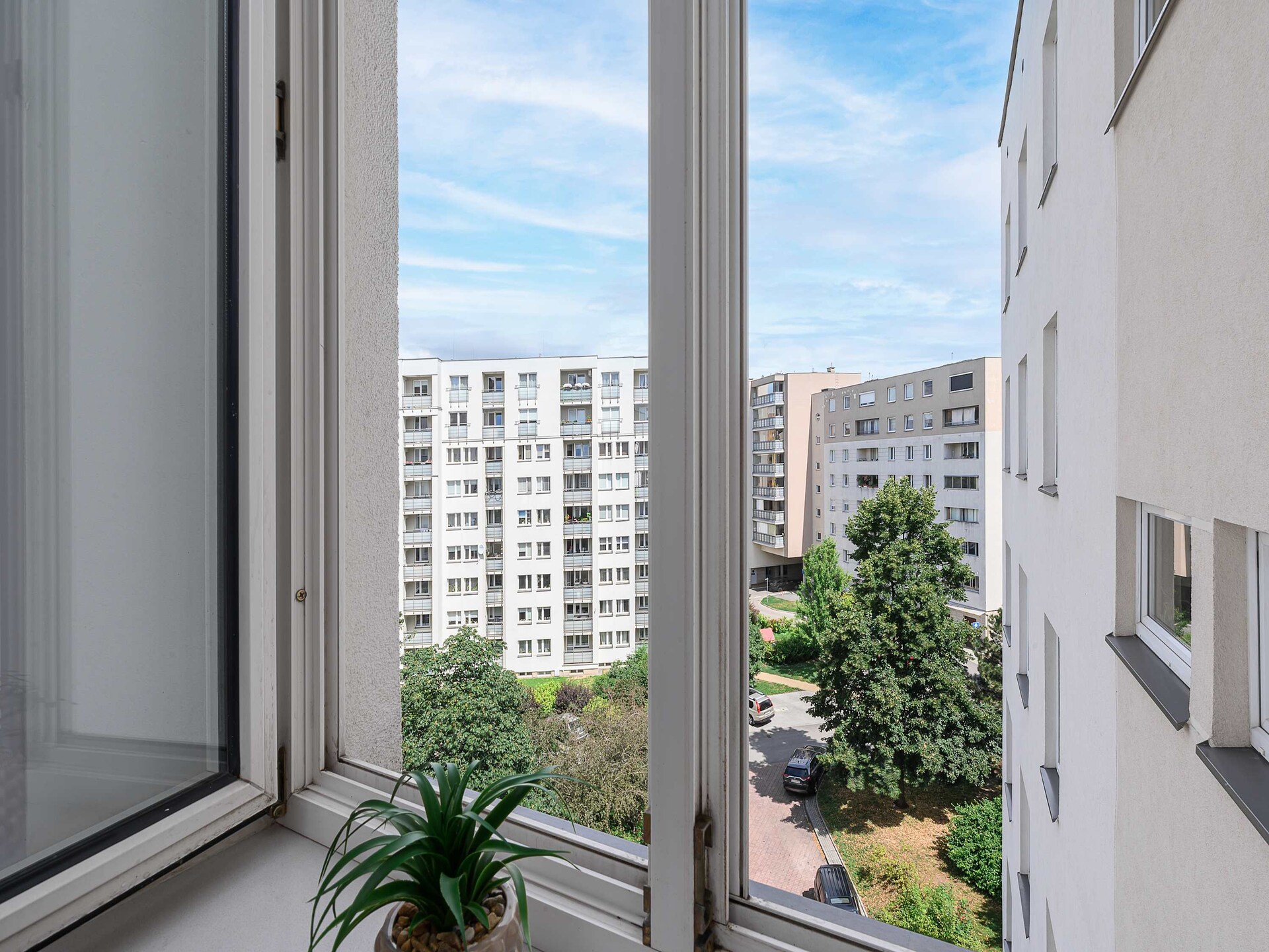 187 Wolność 6/24 (4) - foto 43