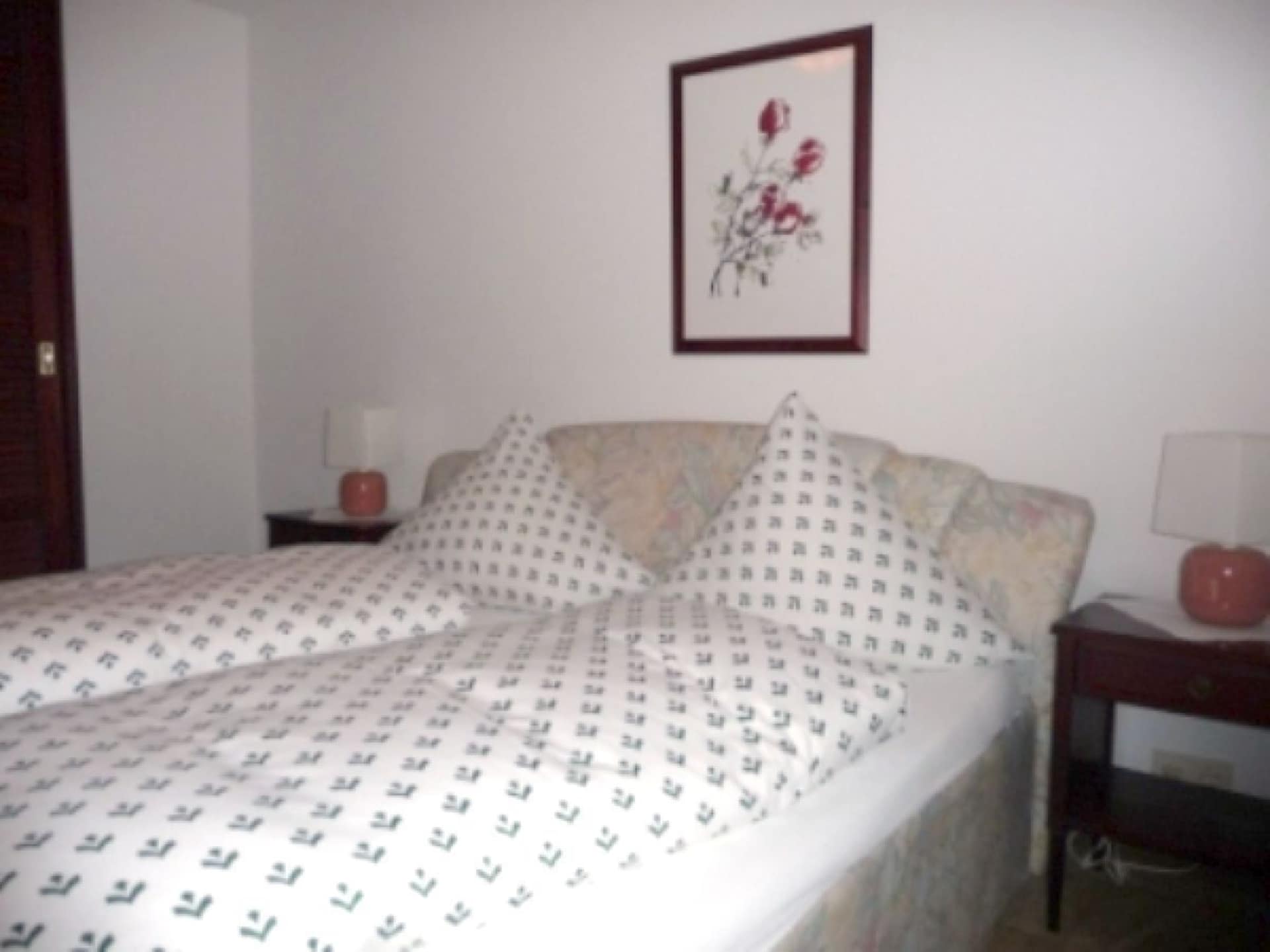 37558 - foto 8