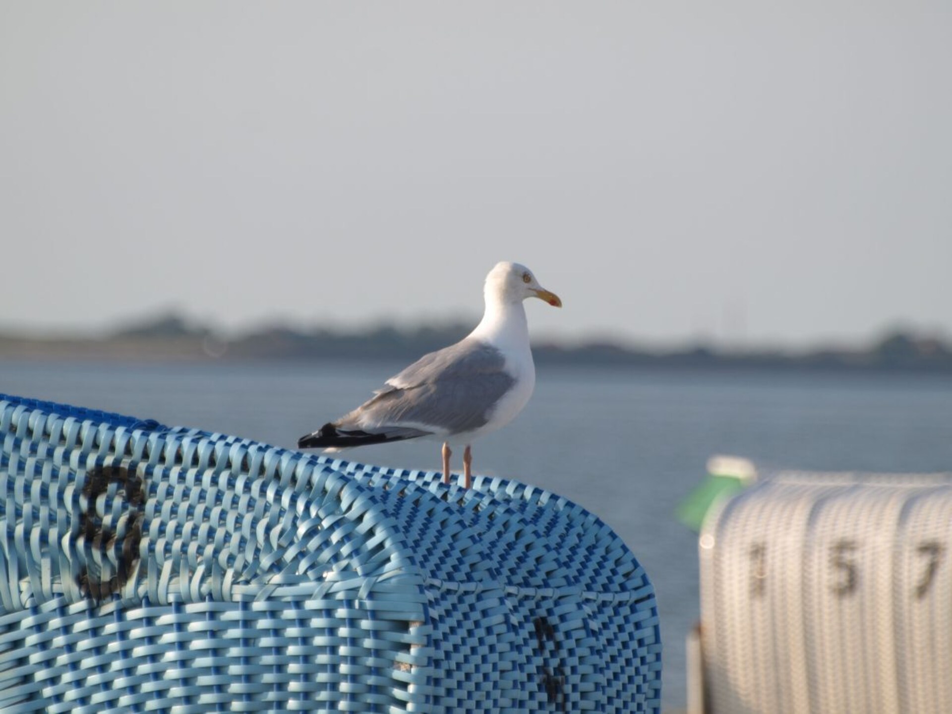 167748 - foto 17