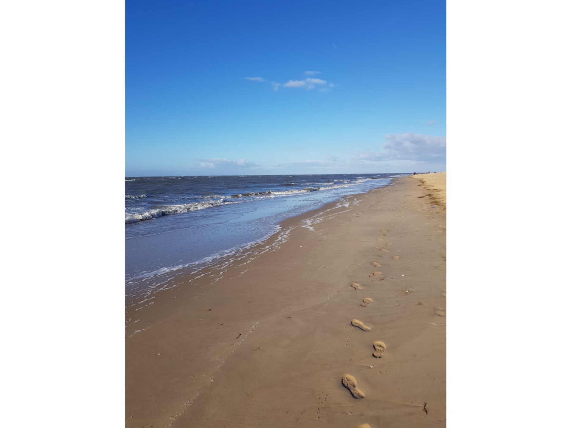 167748 - foto 18