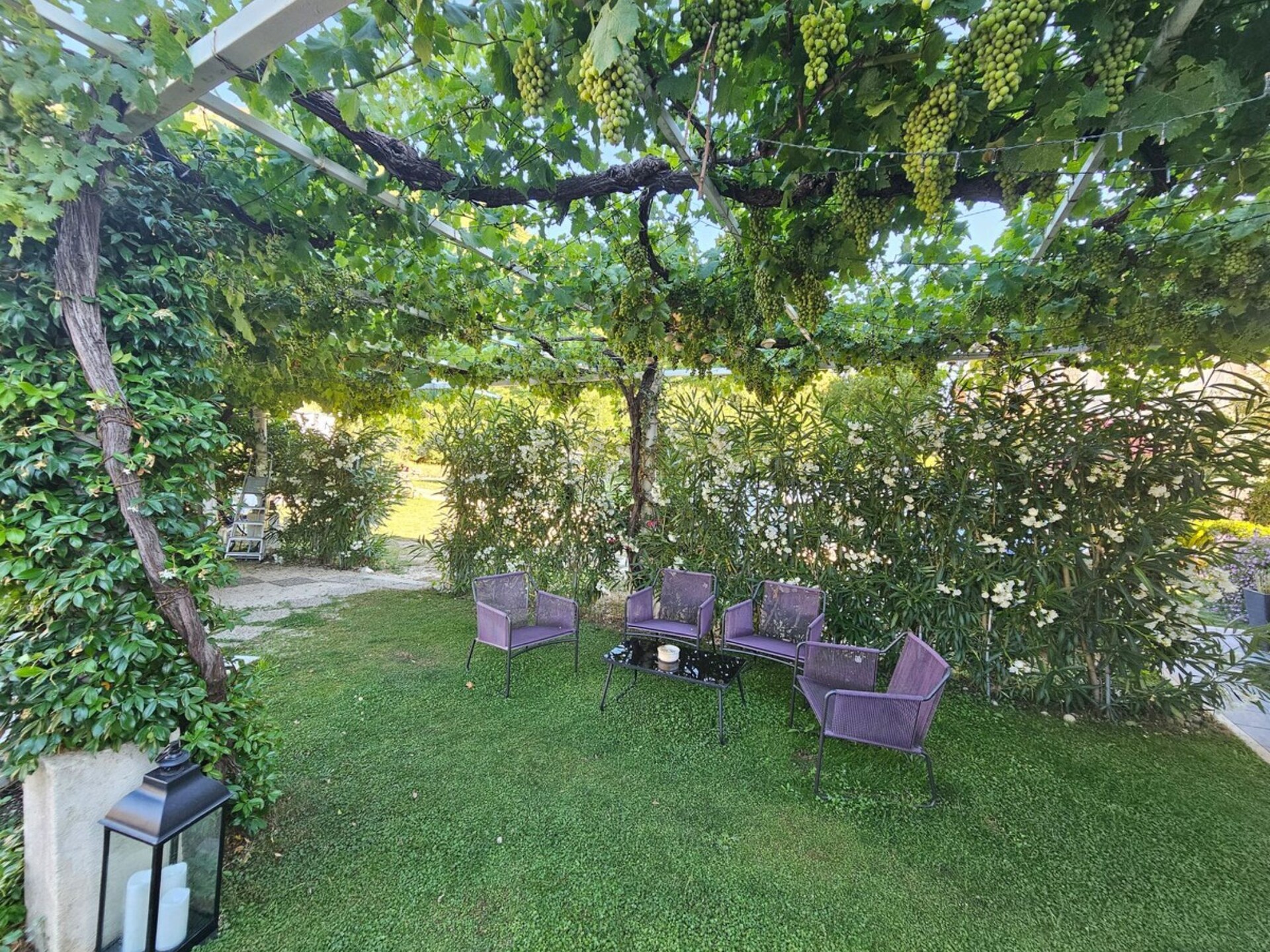 Villa Dube Slano Guest House - Superior One Bedroom Apartment with Sea View and Terrace - foto 18