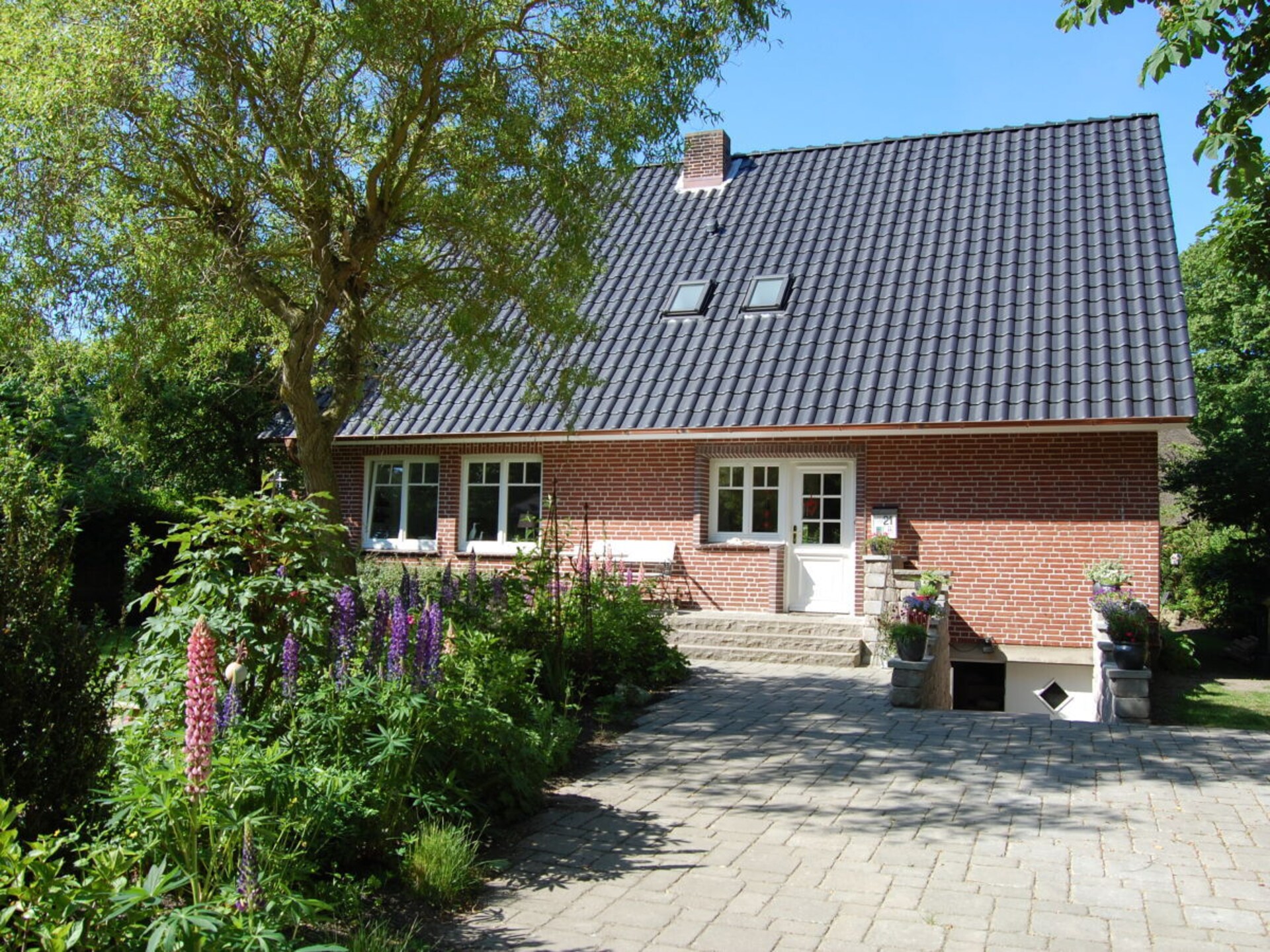 8053 - foto 2