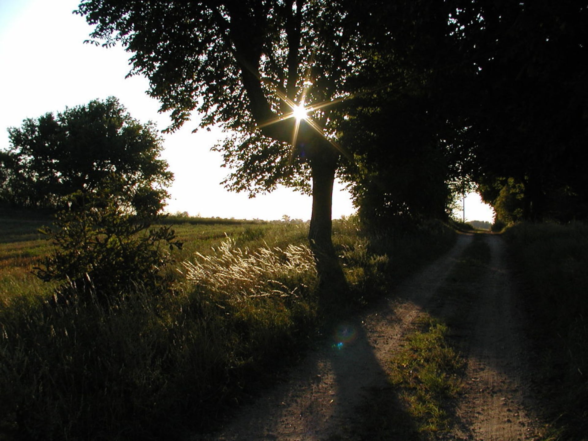 188252 - foto 2