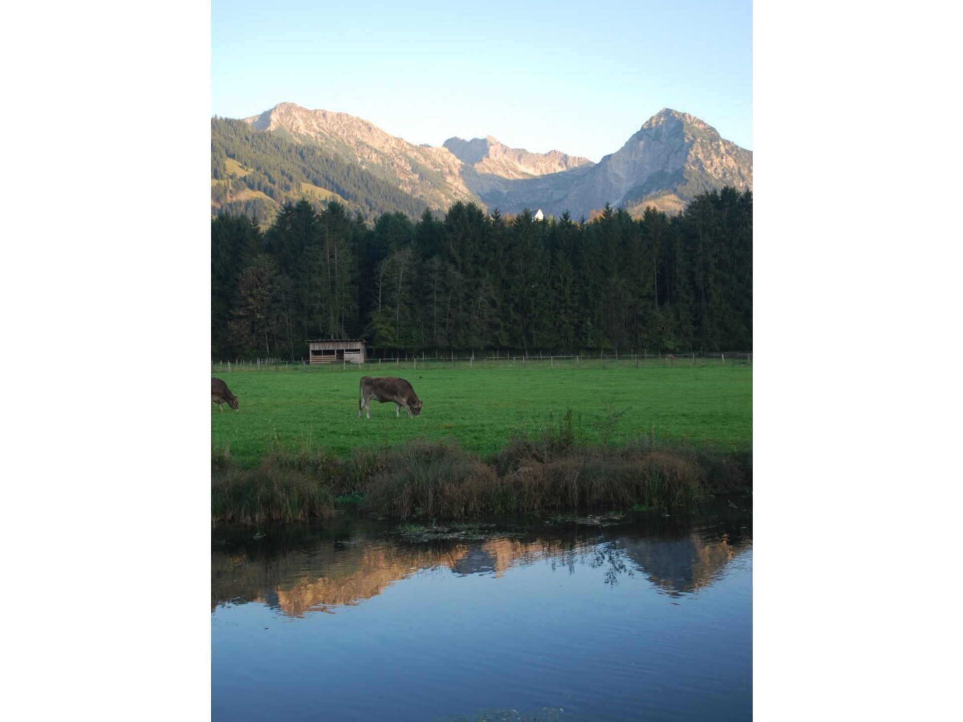 213423 - foto 17