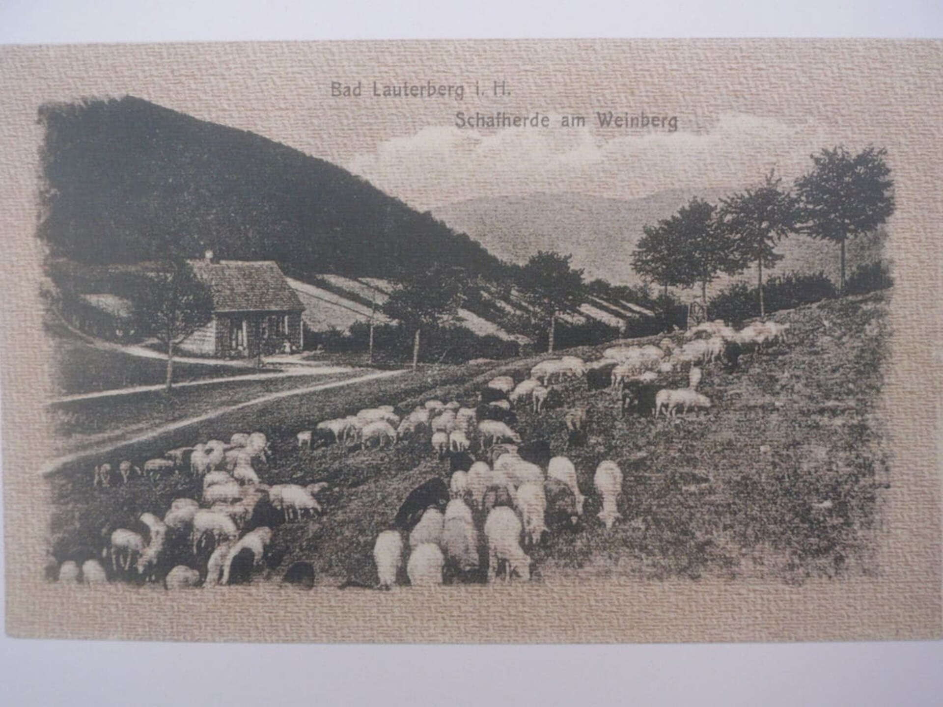 59791 - foto 18