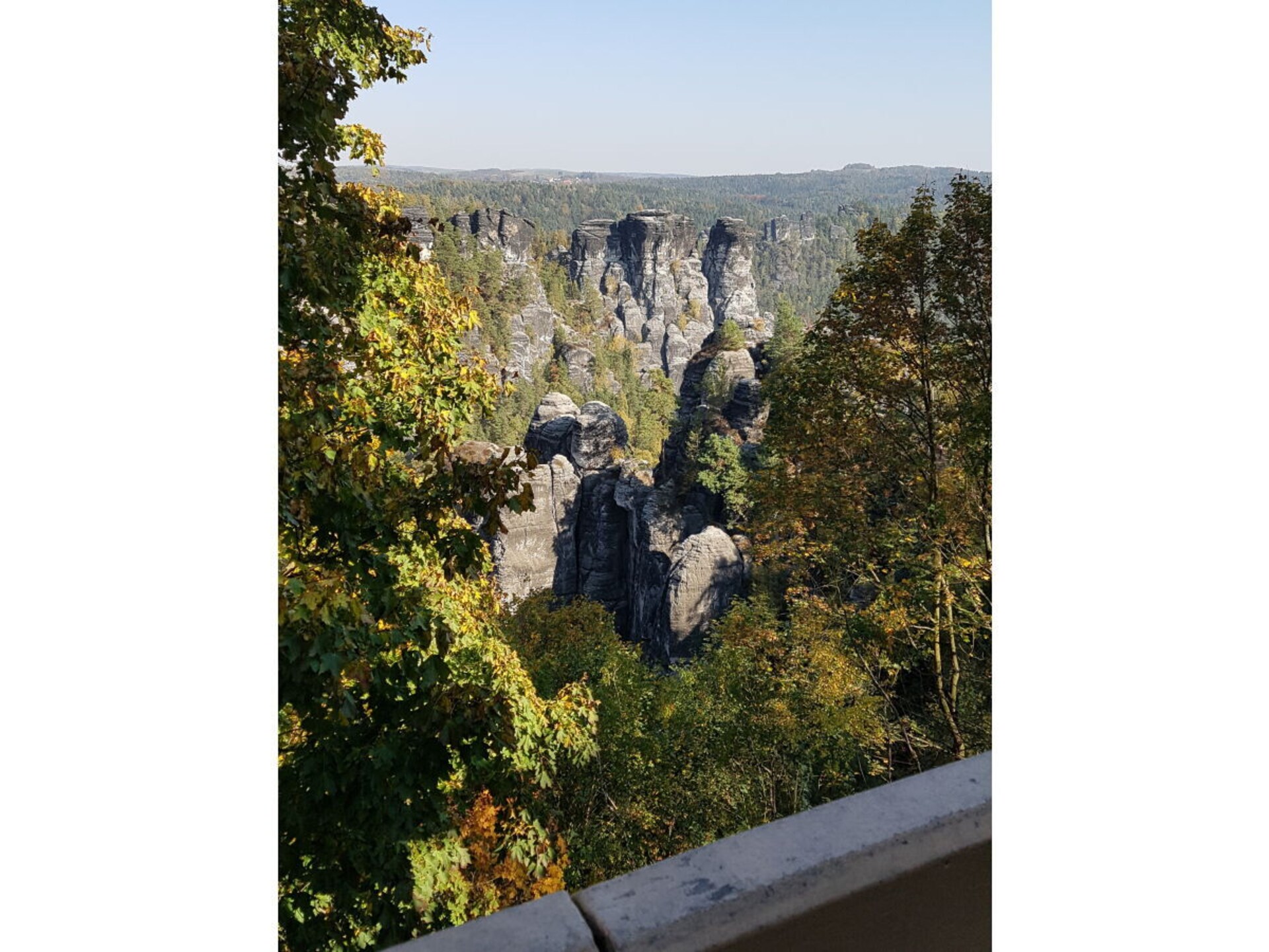 320632 - foto 21