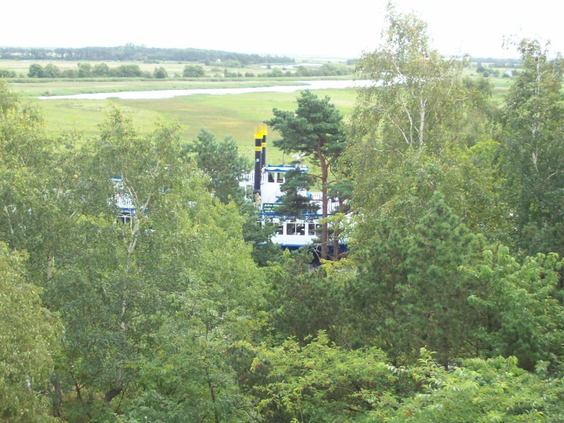 229489 - foto 21