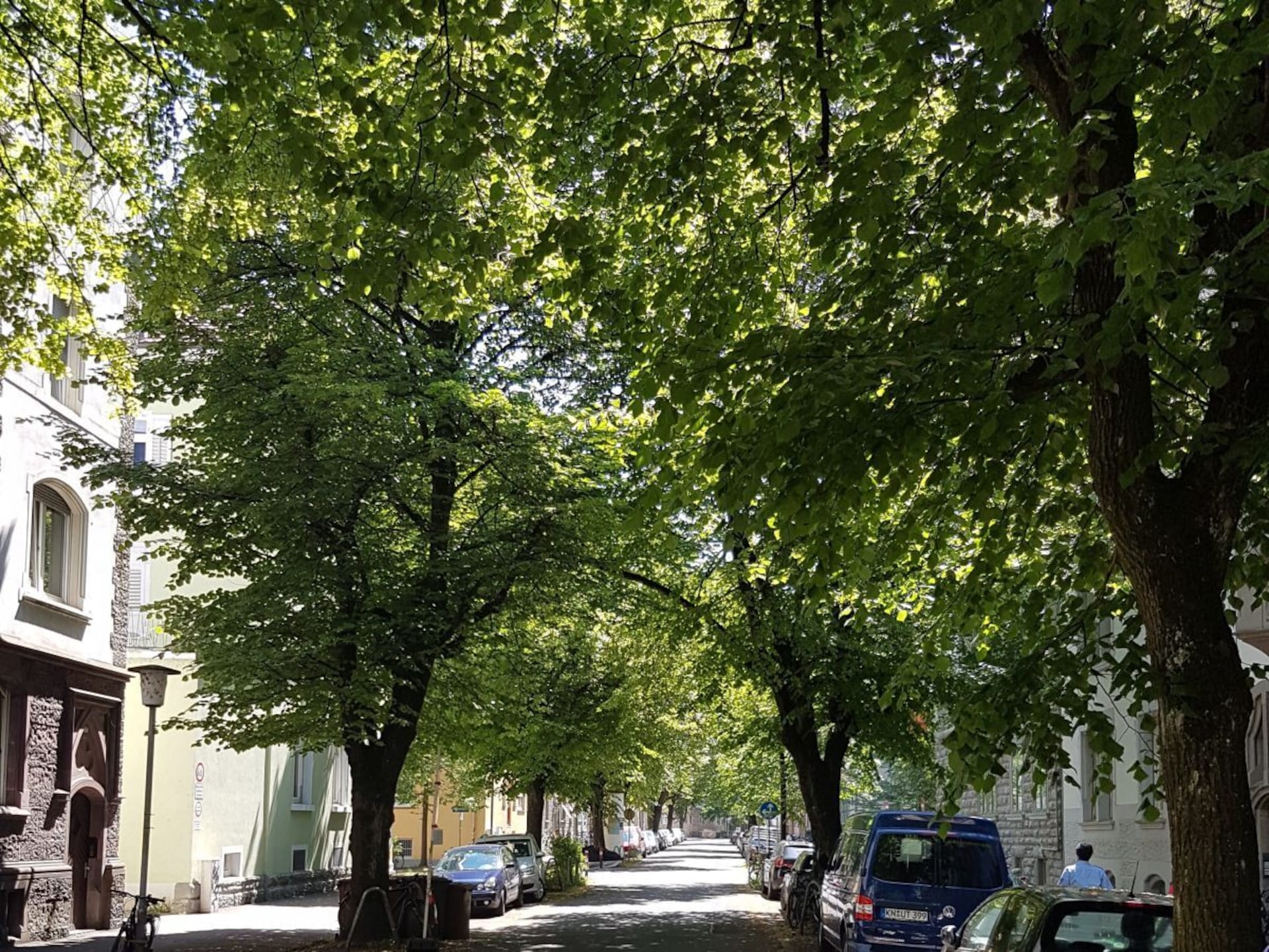 83635 - foto 2