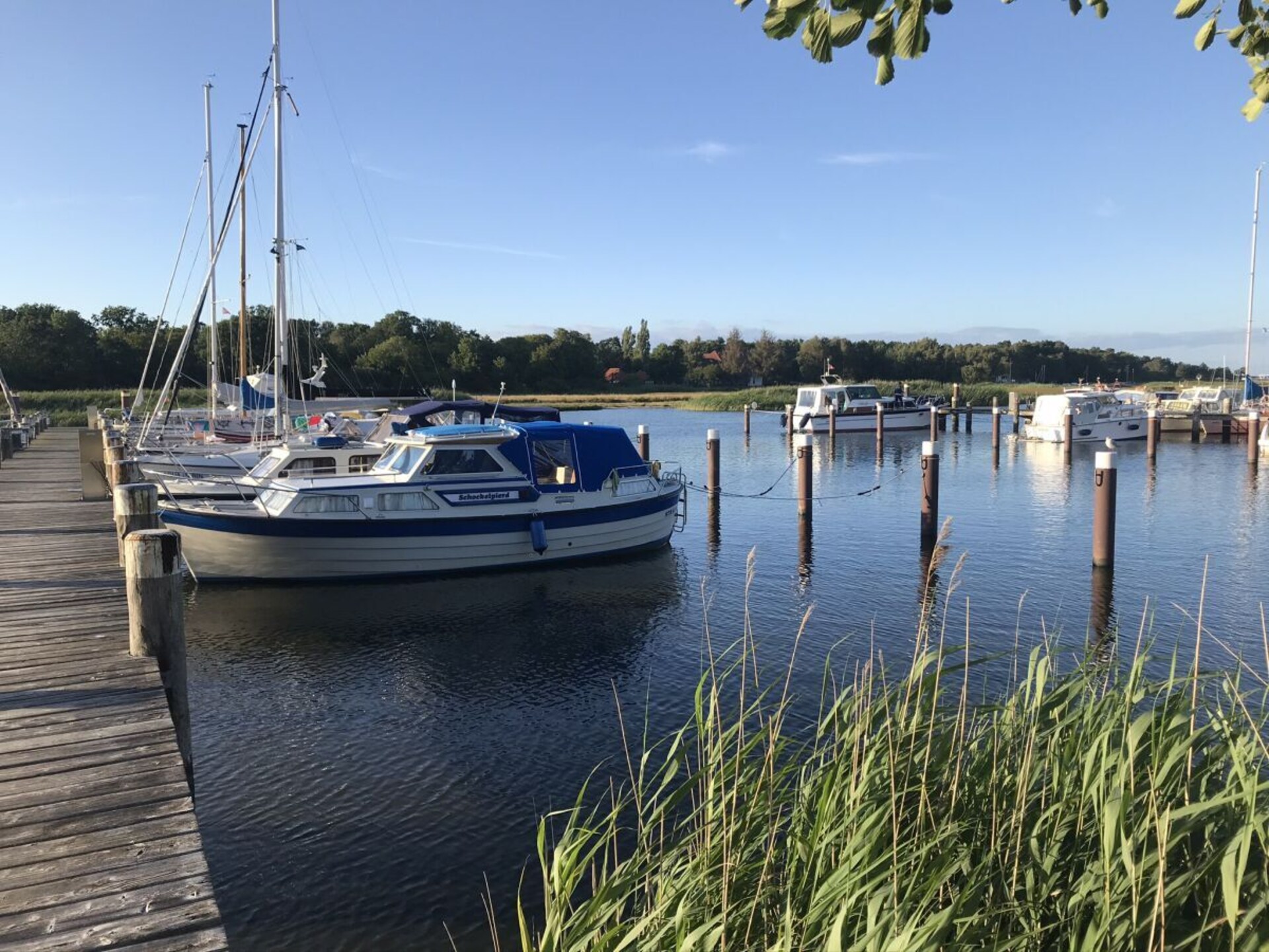 190282 - foto 2
