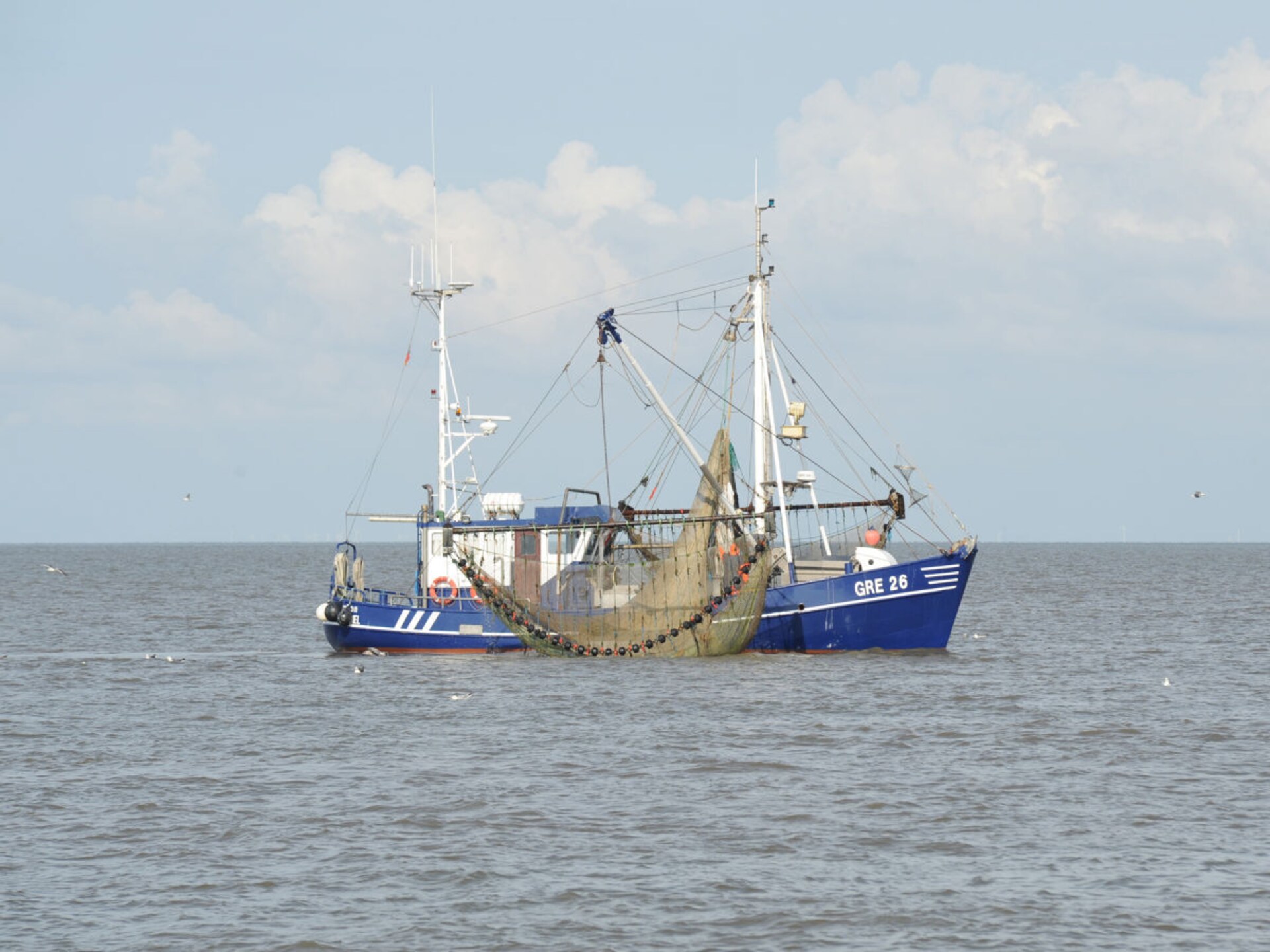 257803 - foto 20