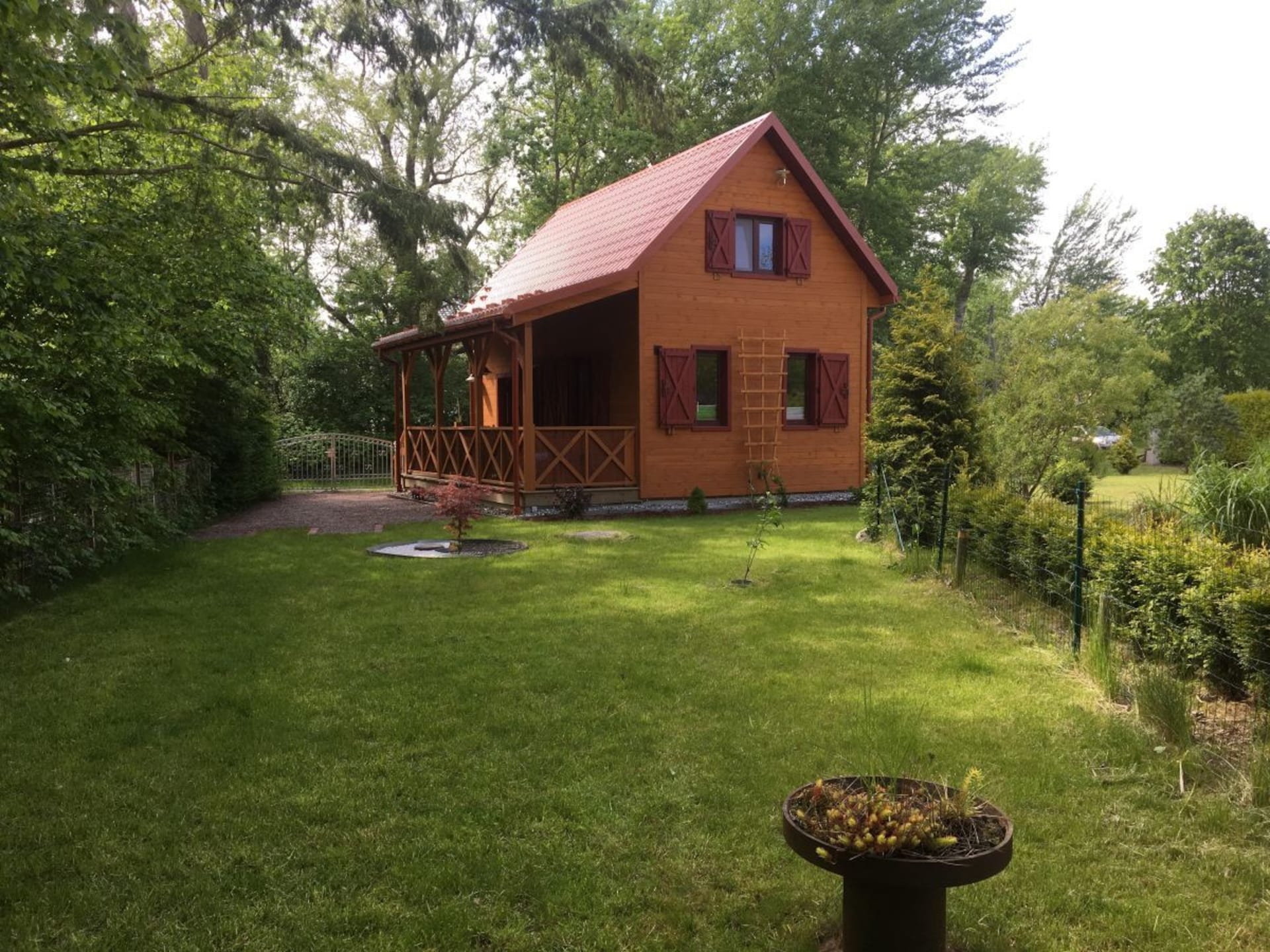 219054 - foto 4