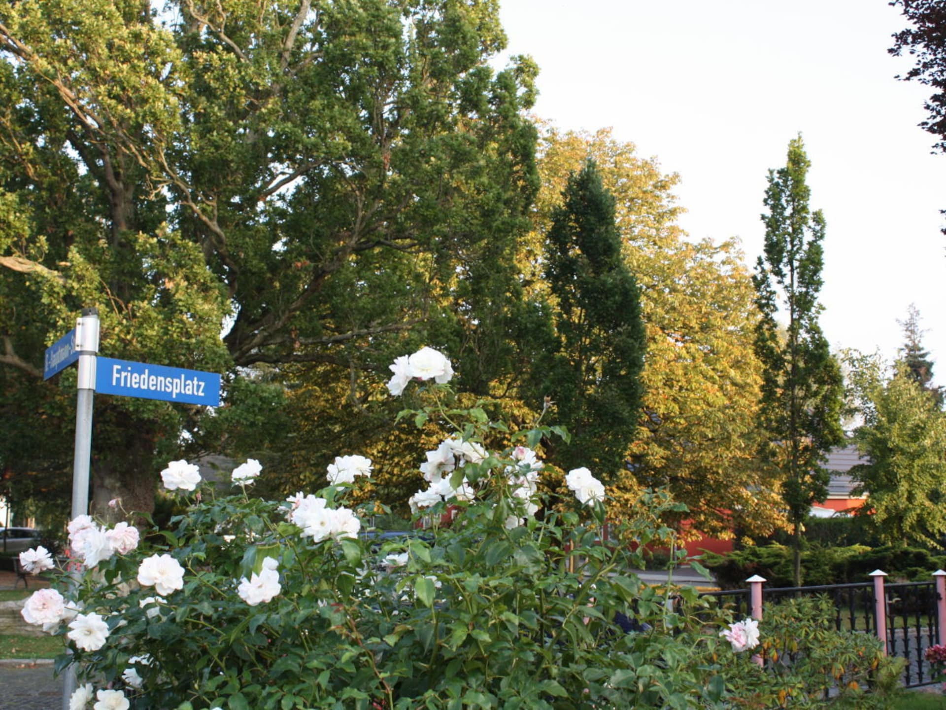 219054 - foto 19