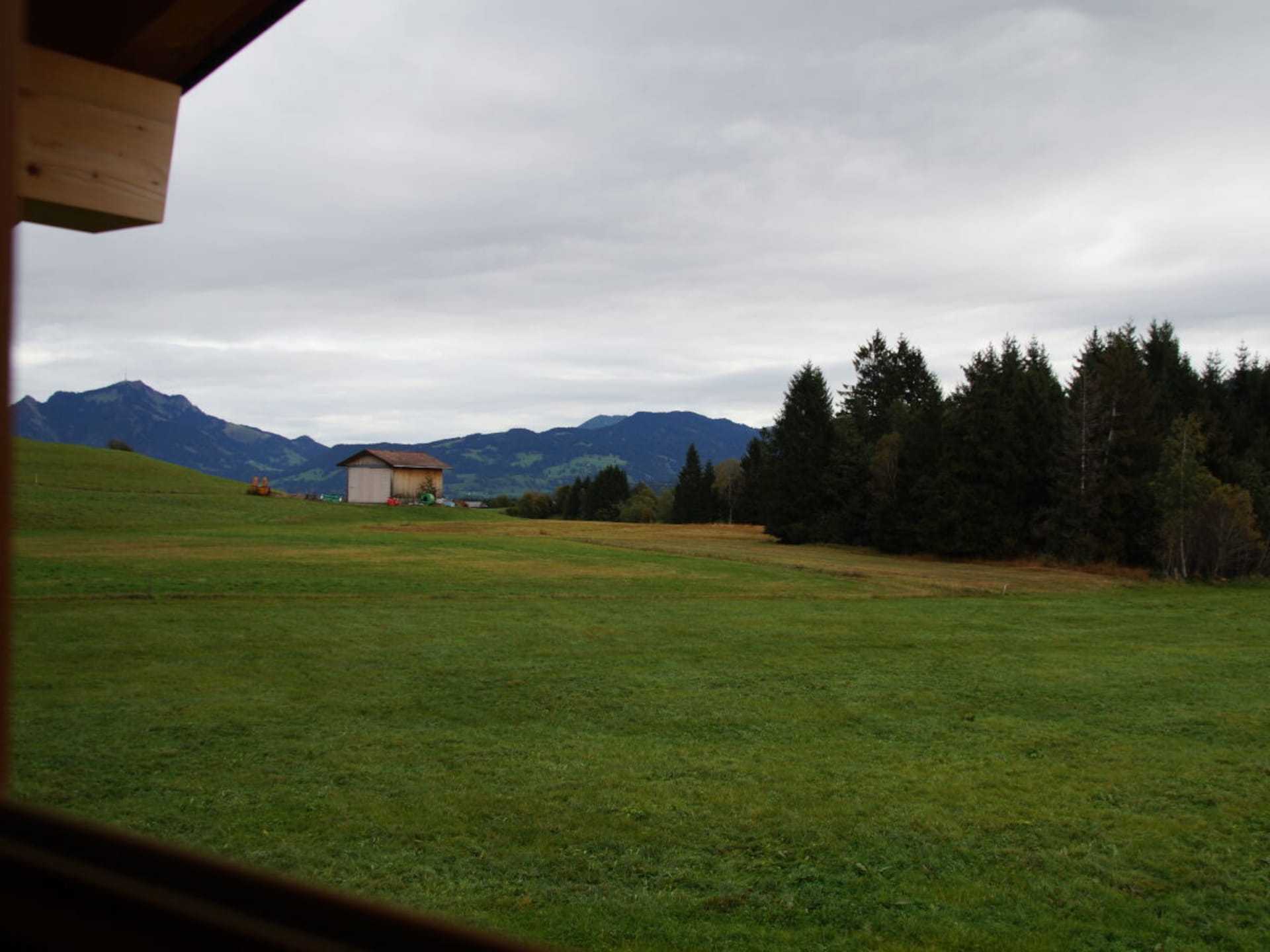 287968 - foto 15