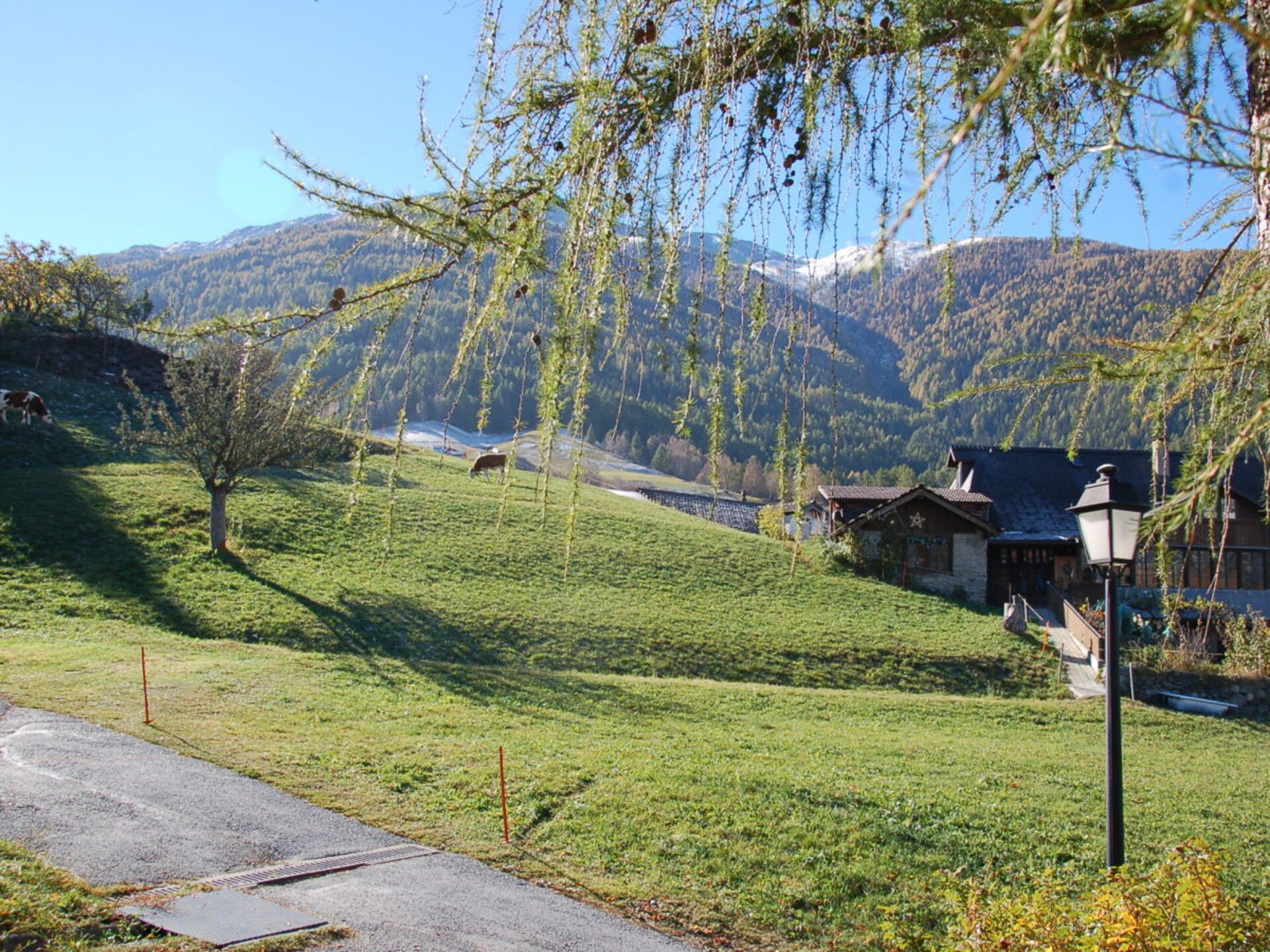 17283 - foto 38
