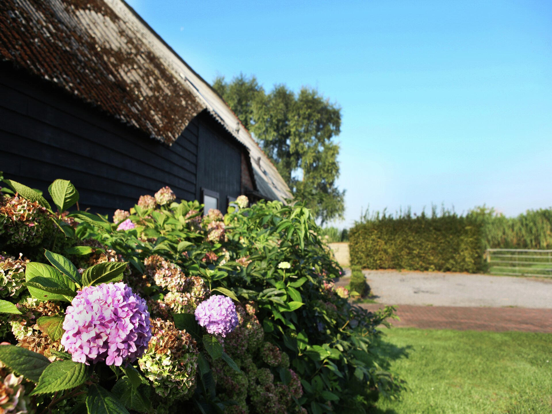 Appartement De Dorsvloer: landelijk genieten in Zeeuws Eede - foto 33