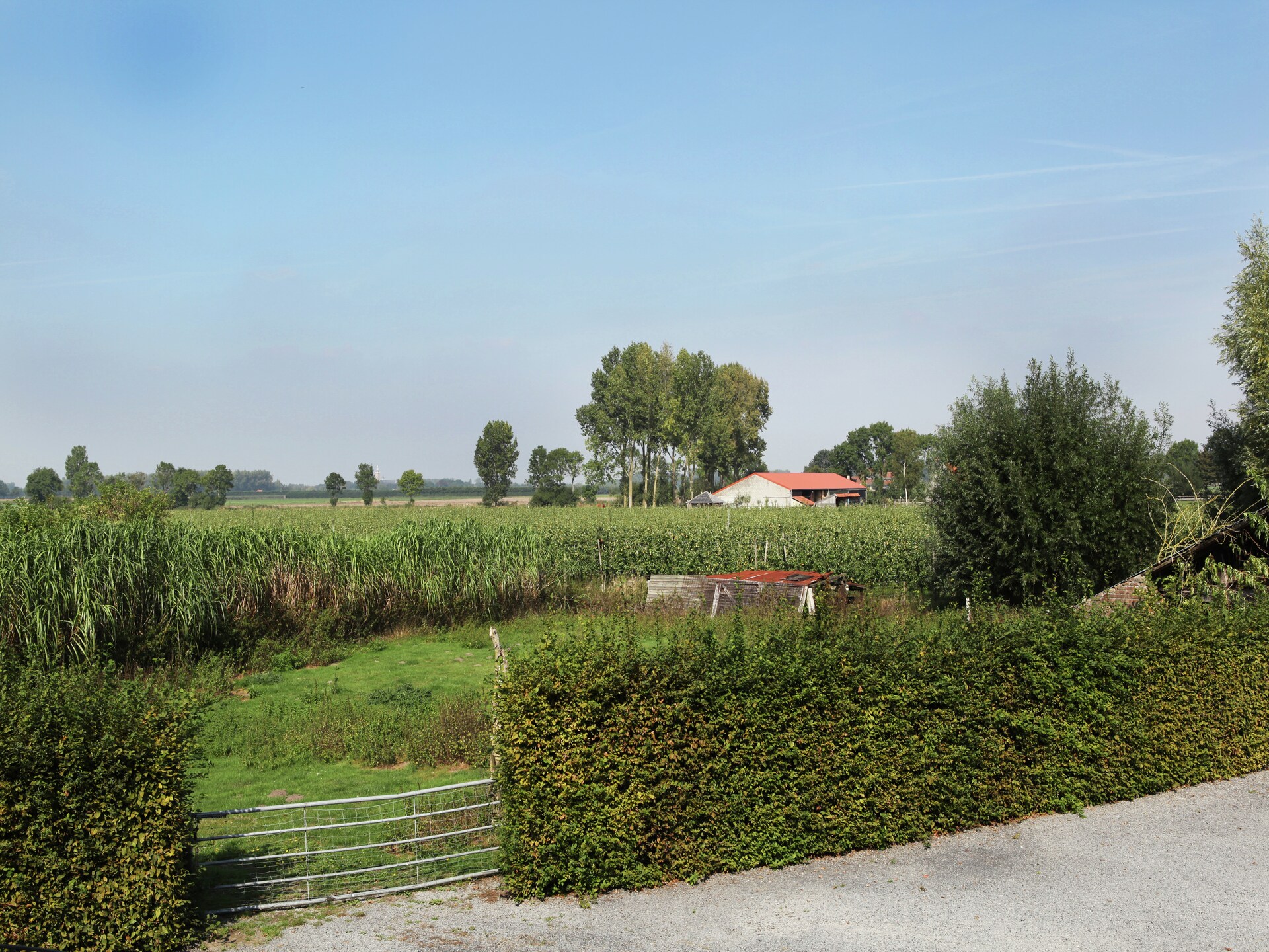 Appartement De Dorsvloer: landelijk genieten in Zeeuws Eede - foto 4