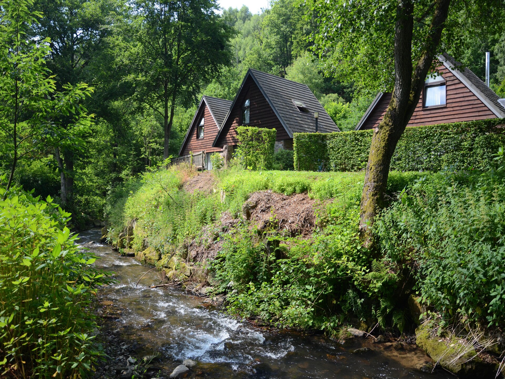 Landelijk vakantiehuis voor 6 personen in bosrijk vakantiepark bij Malmedy - foto 4