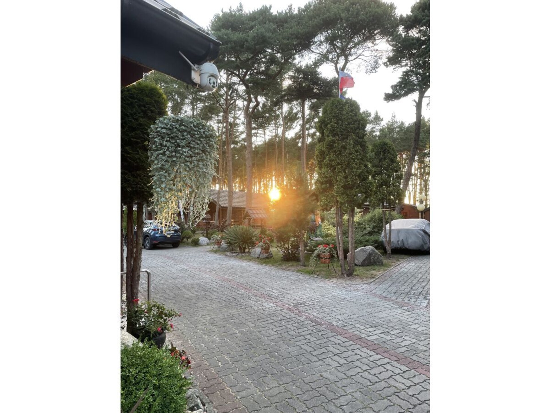 250151 - foto 6