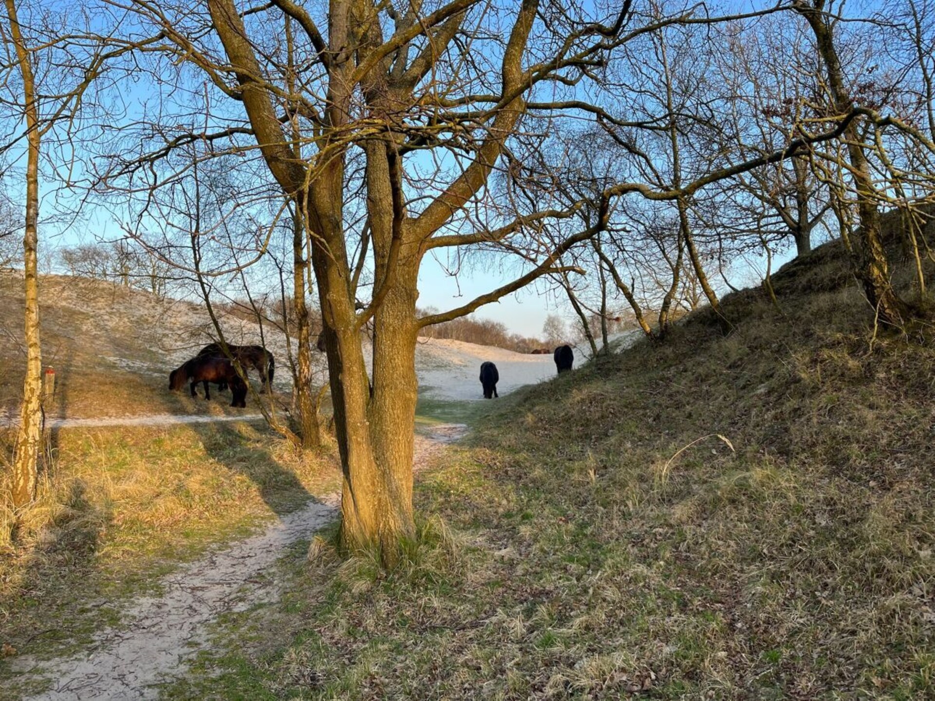 602220 - foto 33