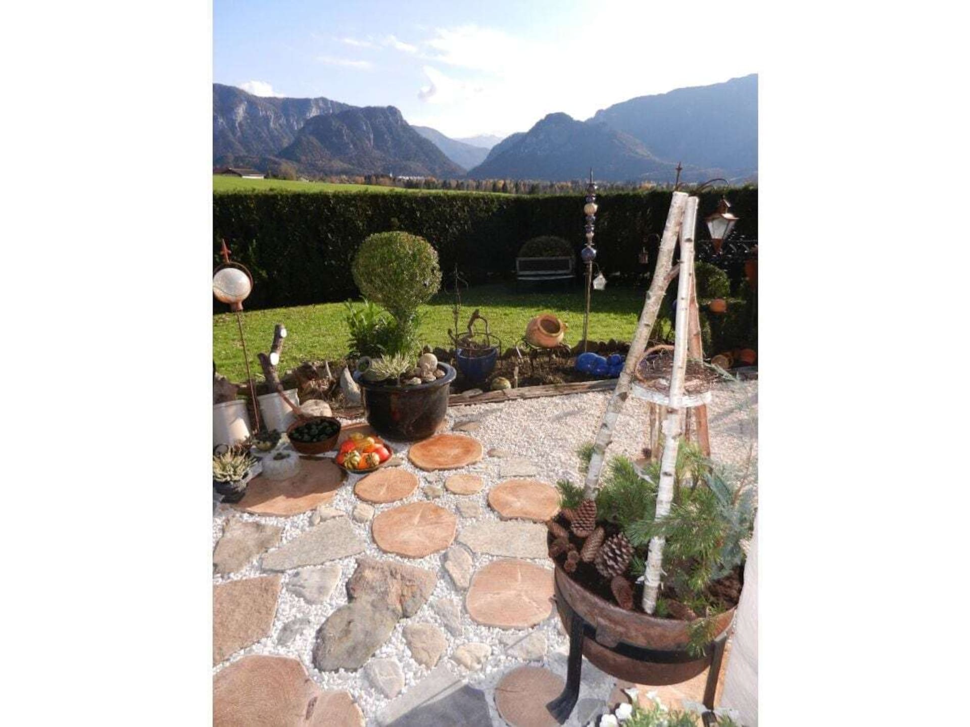 41790 - foto 15