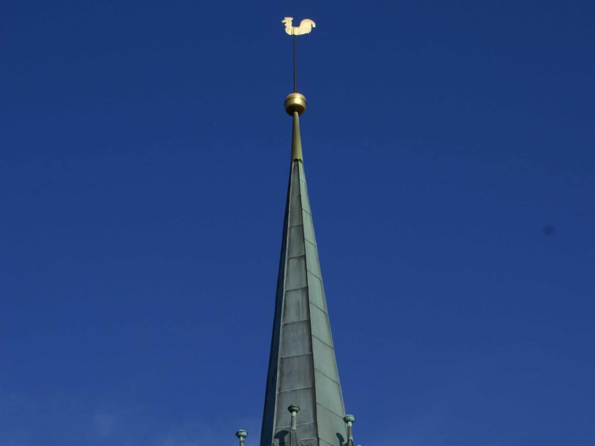 81177 - foto 18