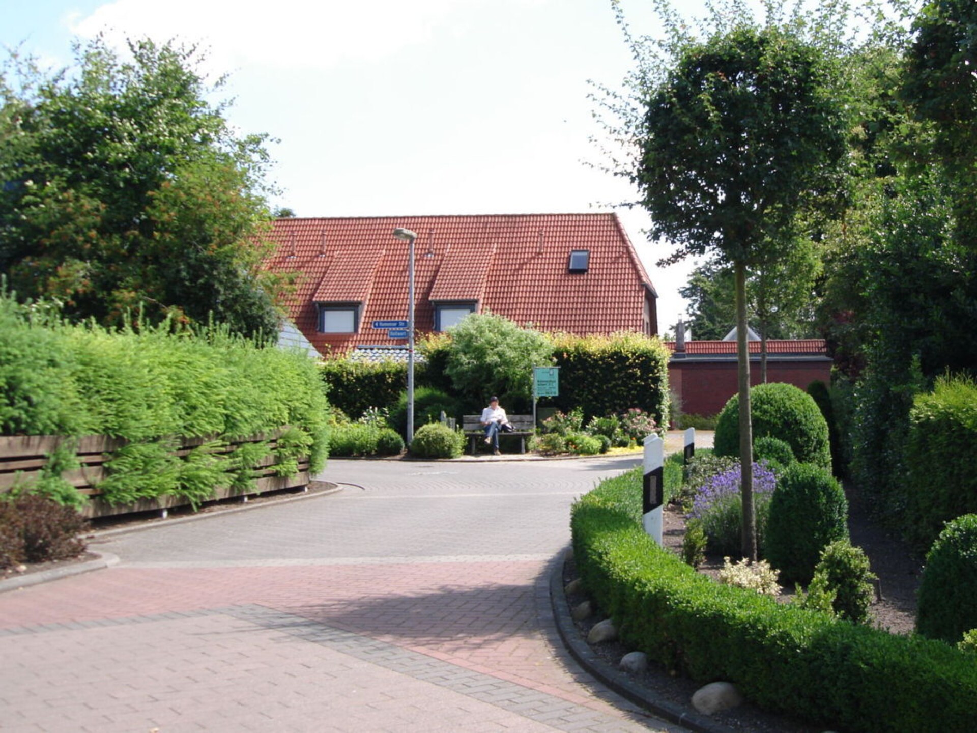 217245 - foto 2