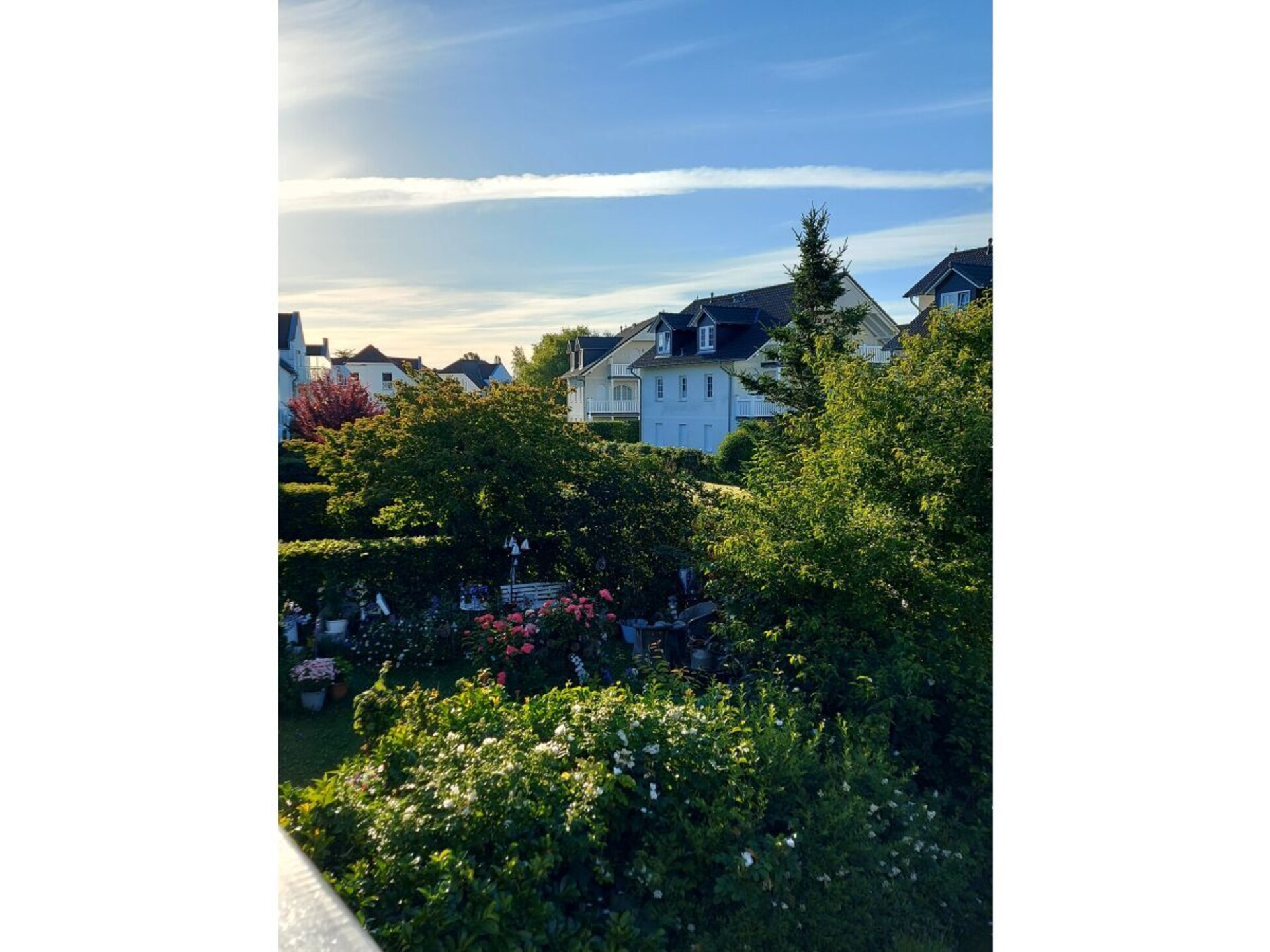 222888 - foto 5