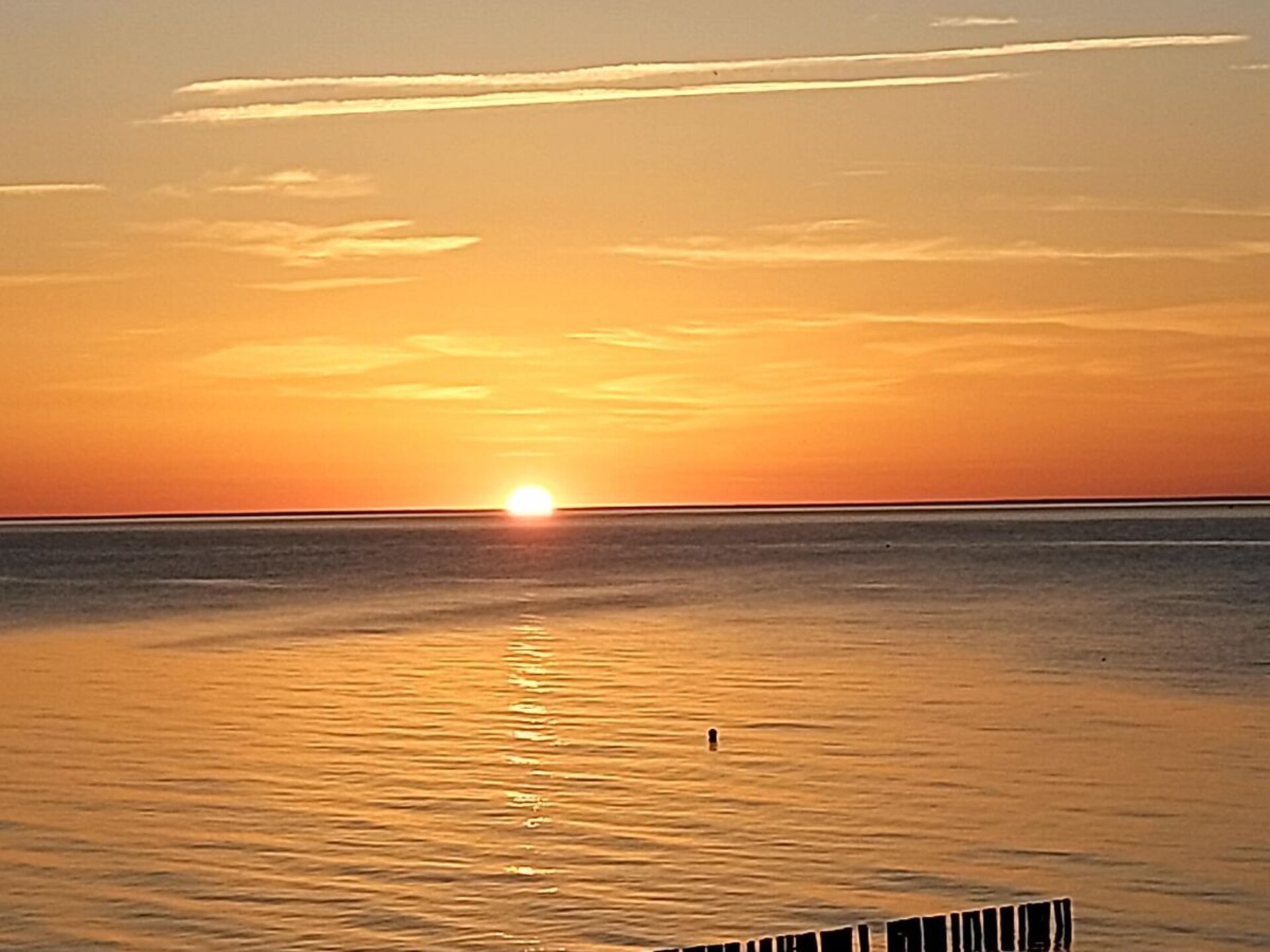 222888 - foto 20
