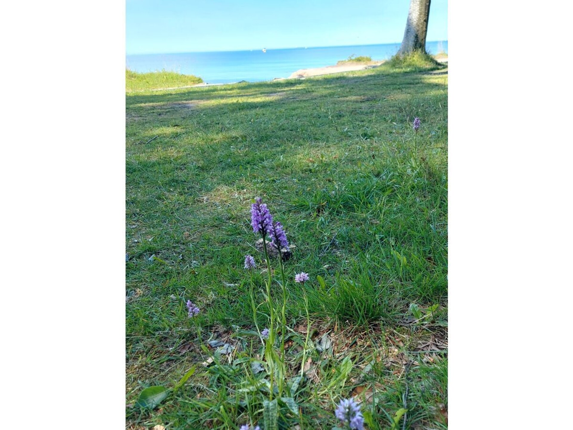 222888 - foto 22