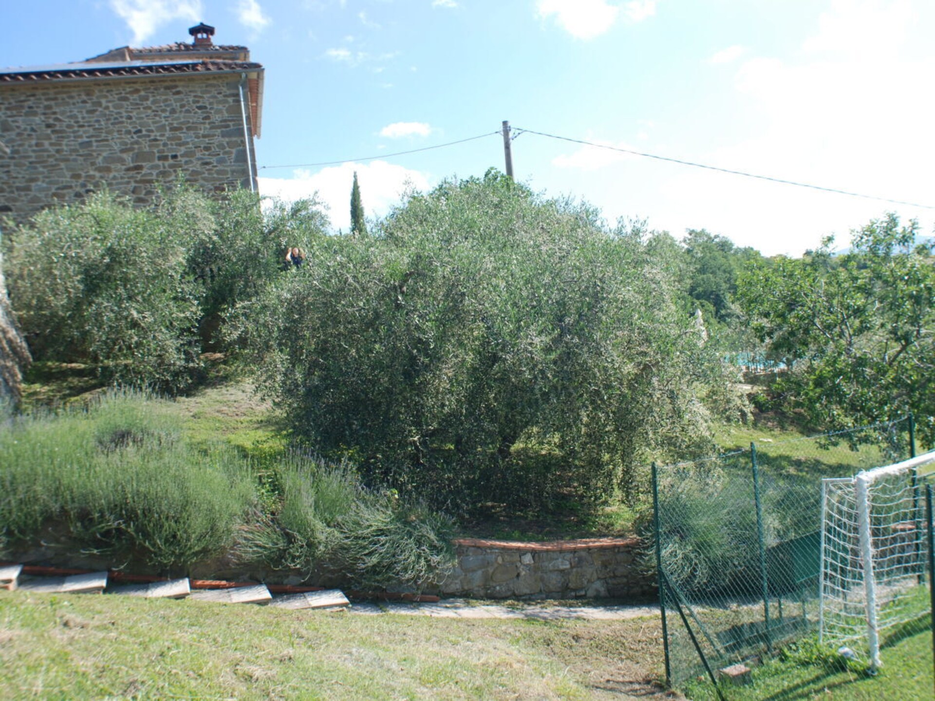 790365 - foto 17