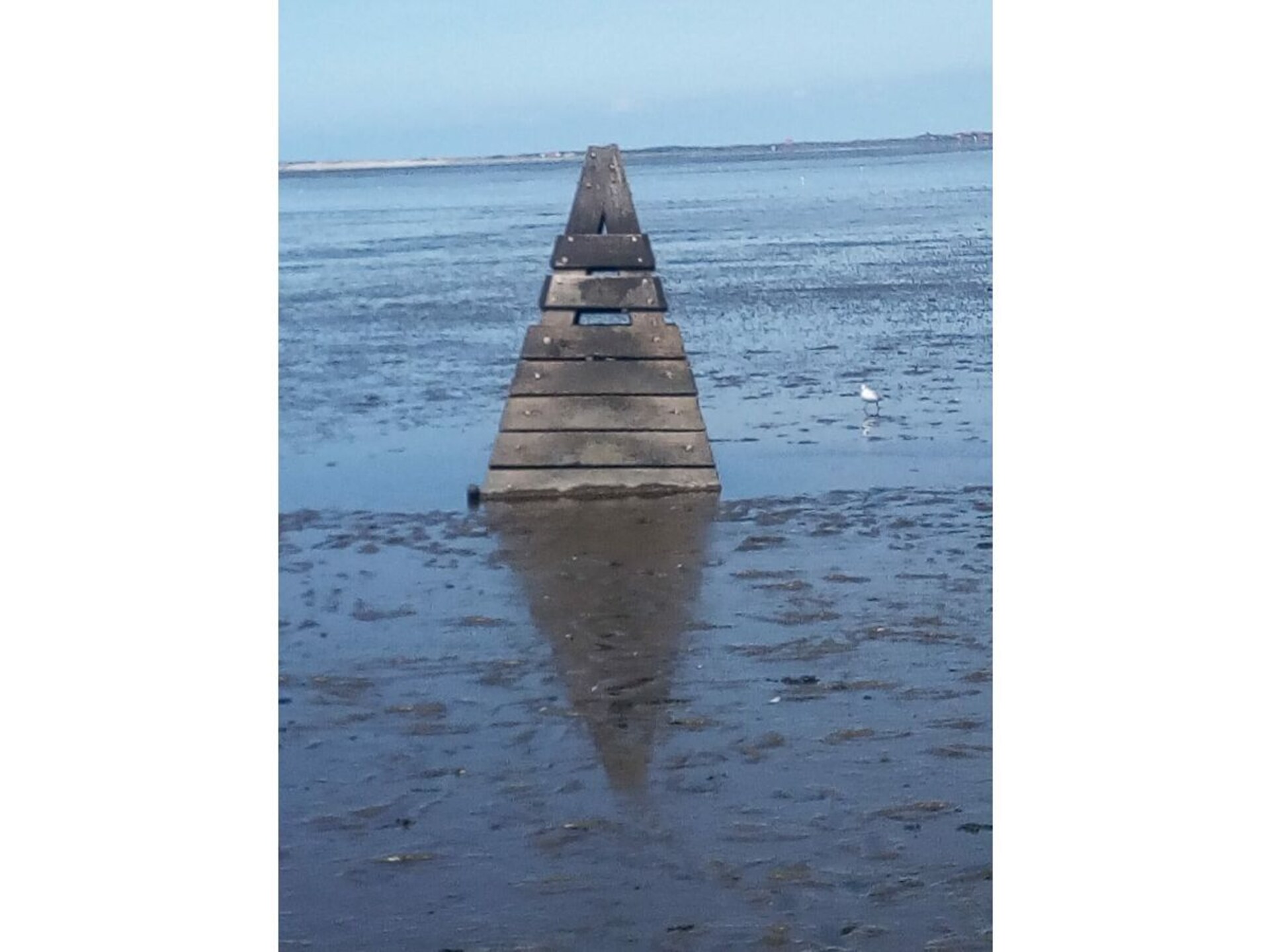 225893 - foto 29