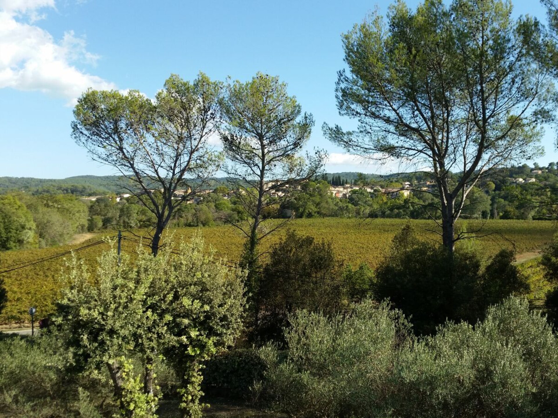 429975 - foto 35