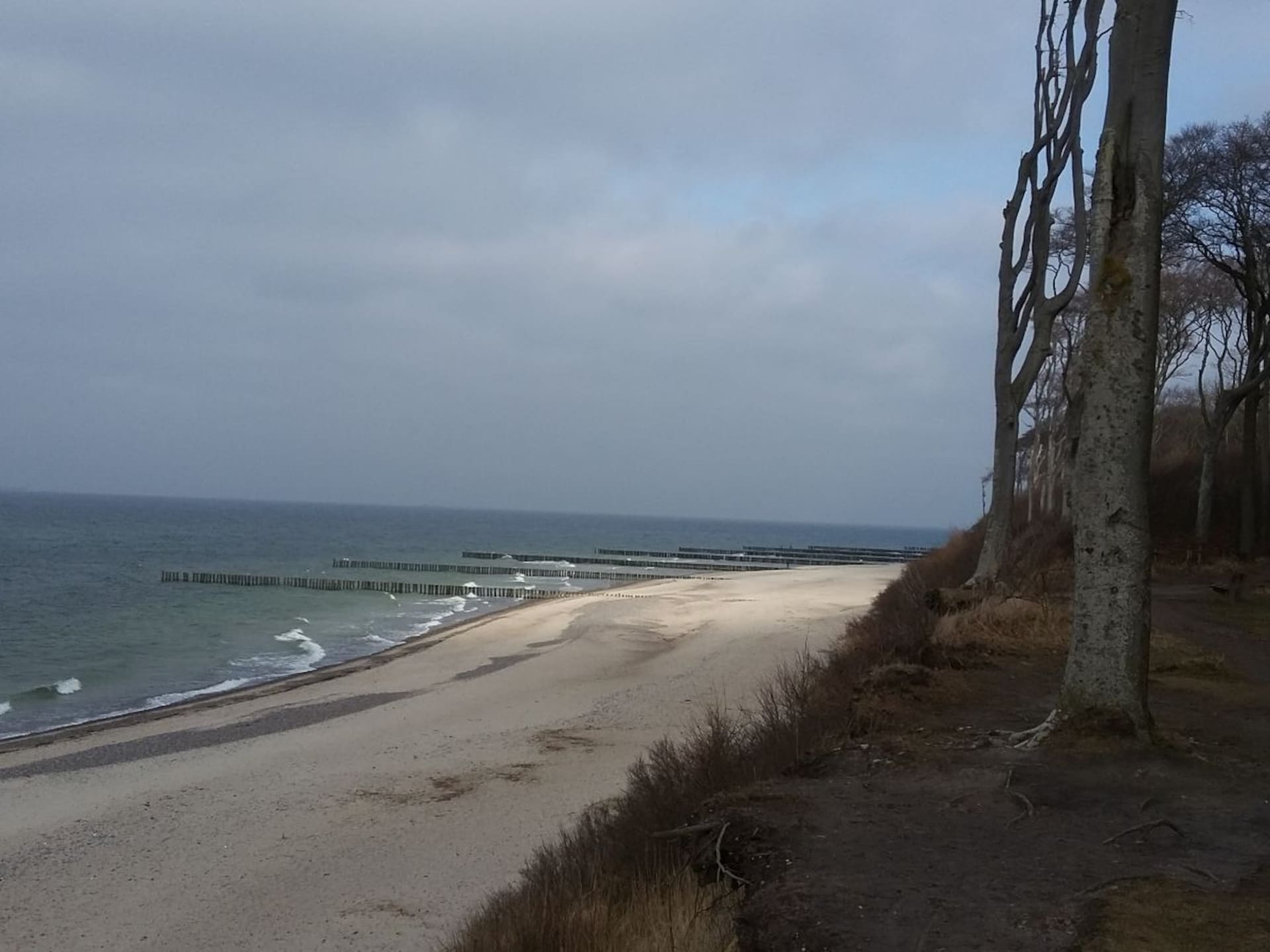 231134 - foto 20