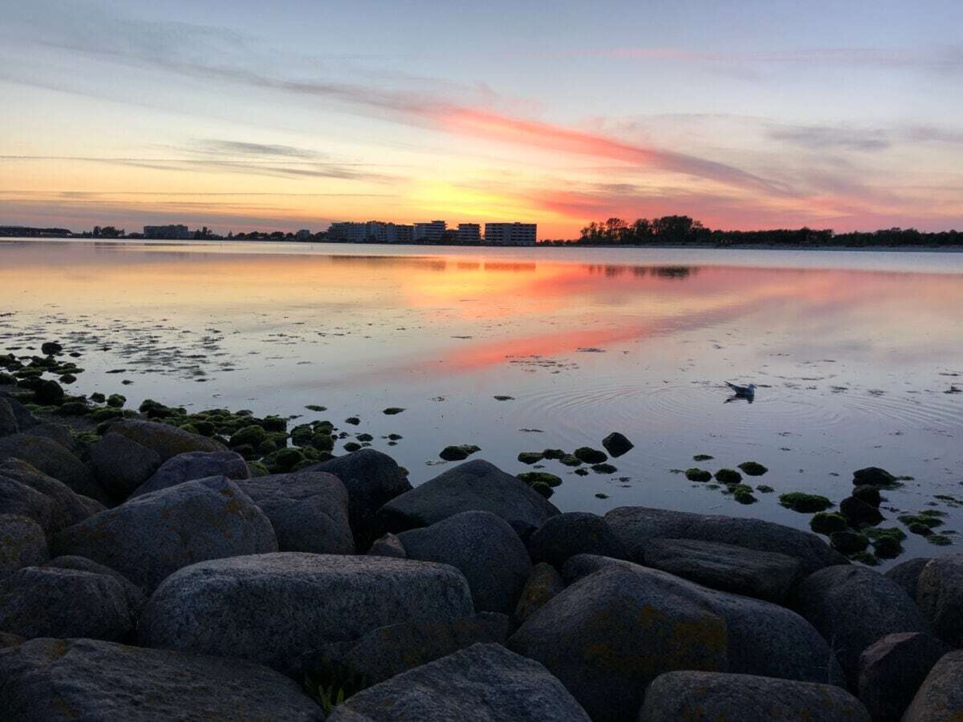 179549 - foto 5