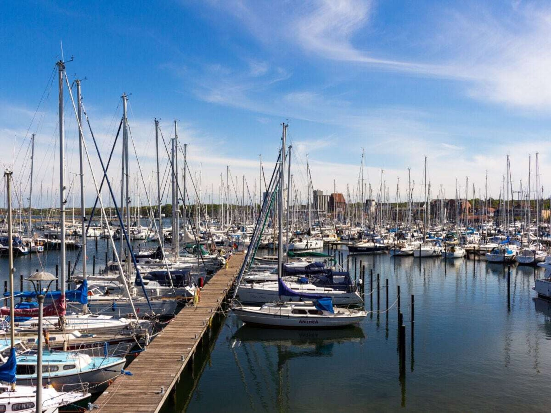 179549 - foto 18
