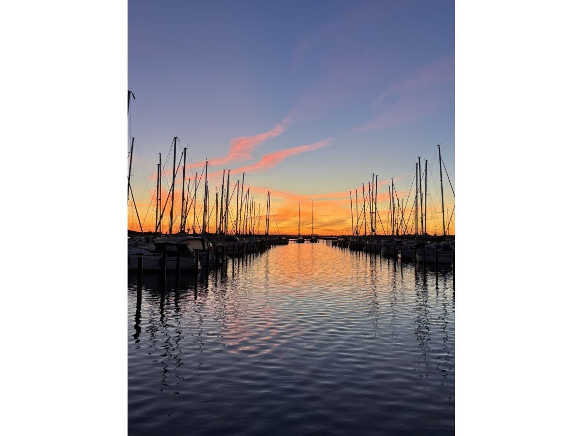 179549 - foto 19