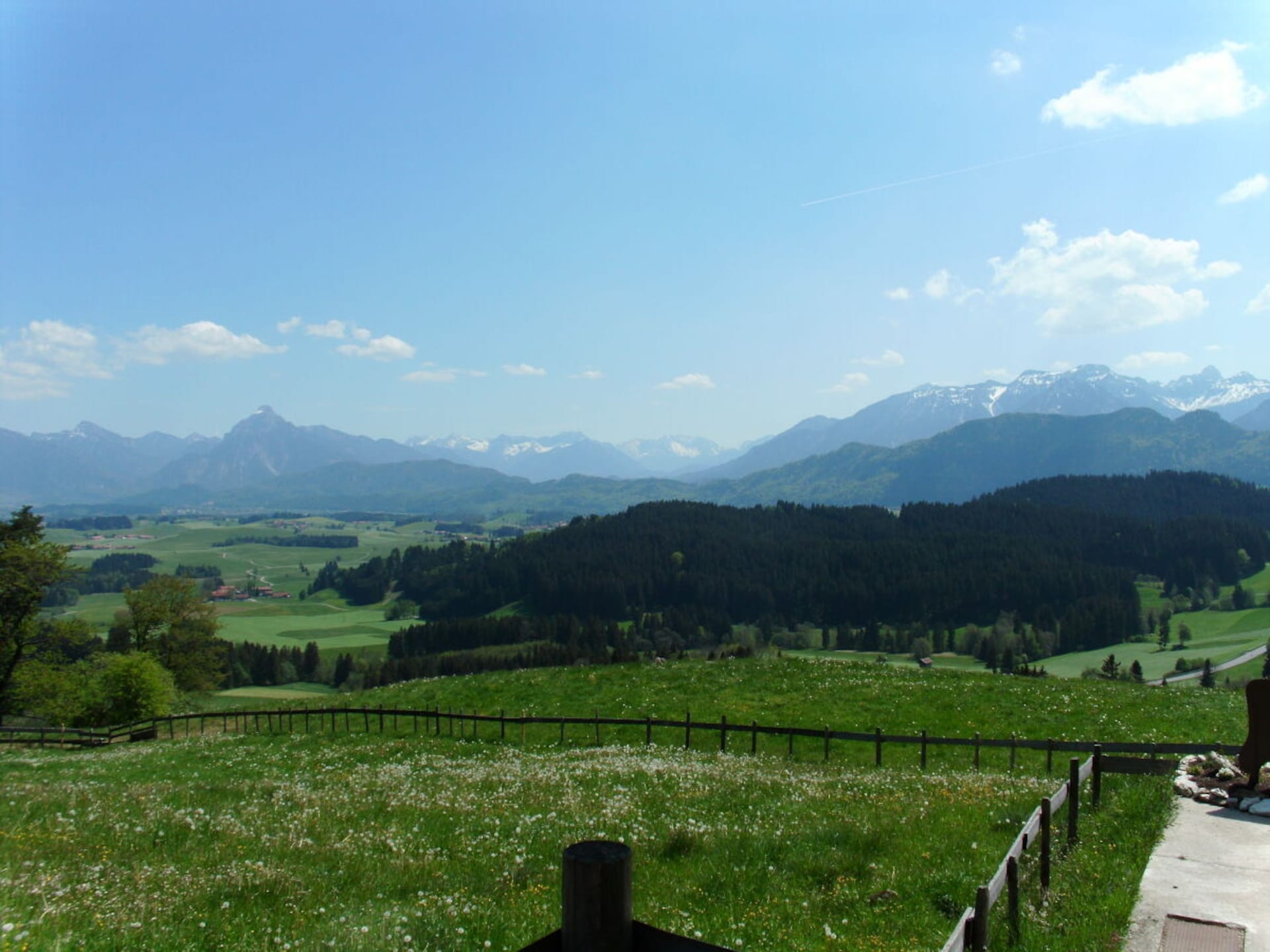 229357 - foto 21