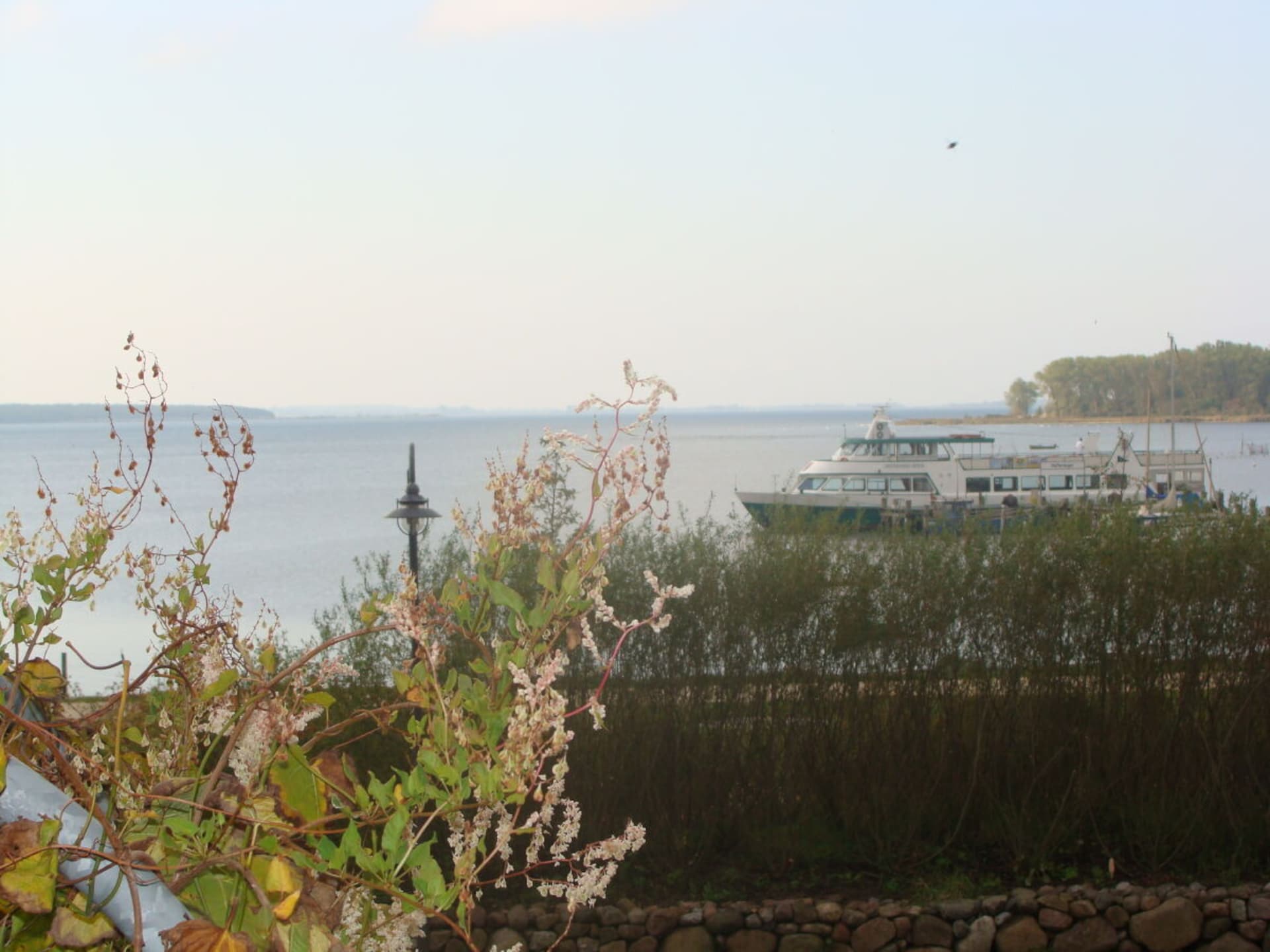 764305 - foto 21