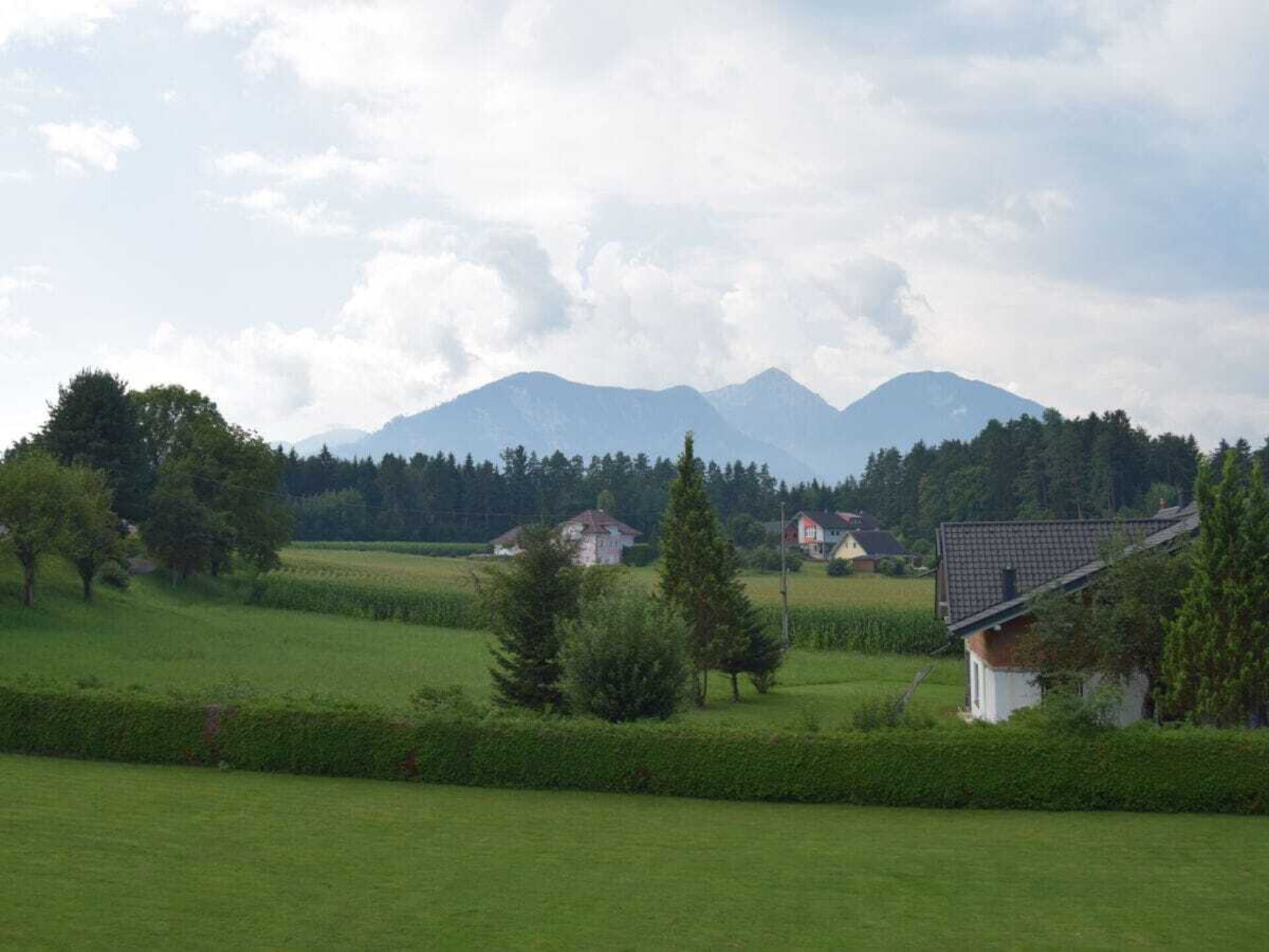 8474 - foto 8